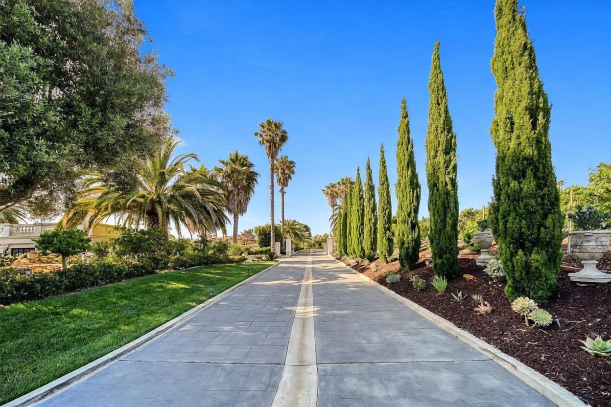 A long, paved driveway leads toward a grand estate, flanked by a manicured green lawn on the left and a row of tall, slender cypress trees on the right. The scene is bathed in bright, clear daylight, emphasizing the expansive and well-maintained grounds. The perspective is a low-angle, centered shot that draws the eye down the path, highlighting the formal landscaping and the sense of privacy and luxury.