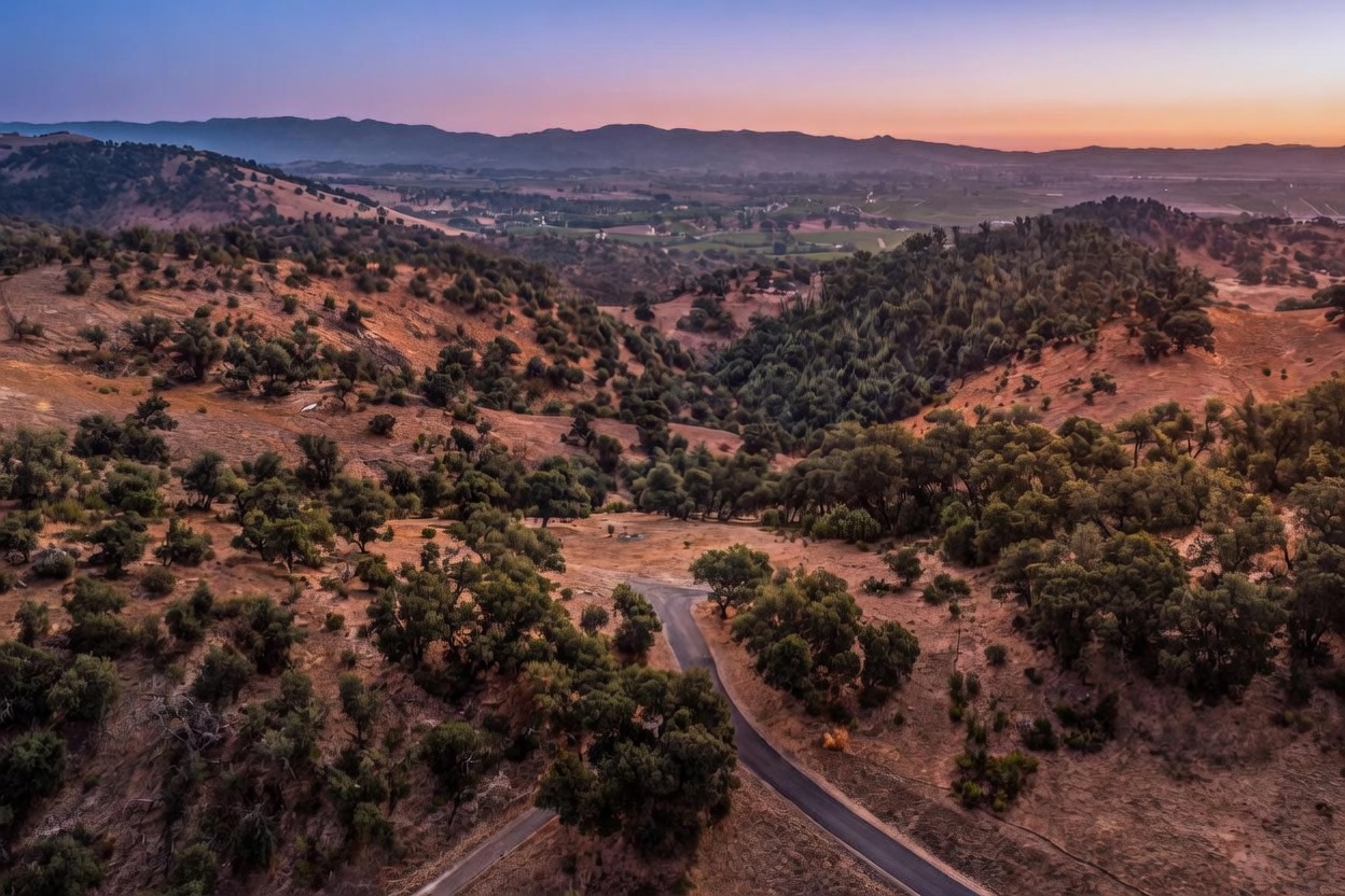 This stunning aerial shot captures a vast, rolling landscape at sunset, showcasing a serene, sparsely populated countryside. A paved road winds through the hilly terrain, which is characterized by patches of dense trees and expansive, sun-drenched golden grasses. The scene conveys a strong sense of seclusion, natural beauty, and potential for expansive estate living.