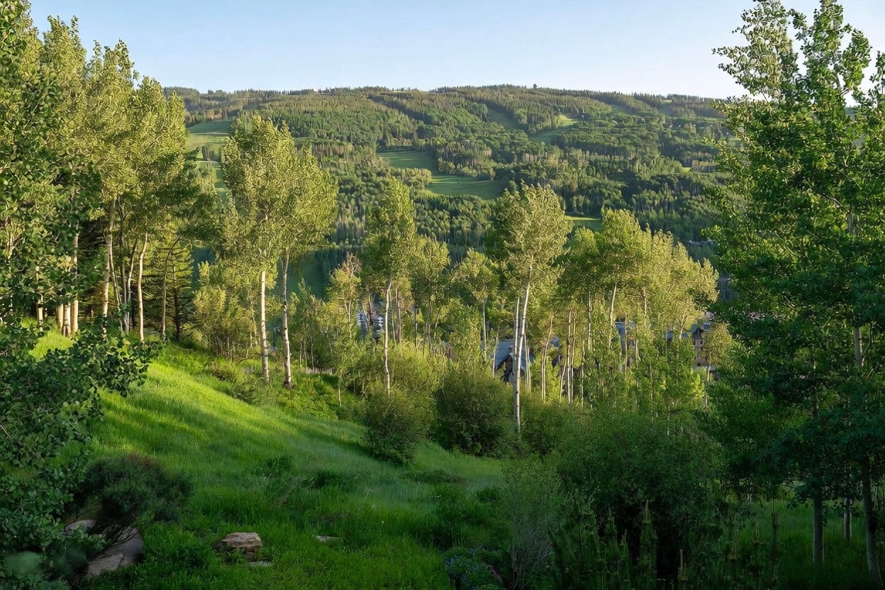 This scenic outdoor view captures a lush, sloping hillside covered in vibrant green grass and a dense grove of aspen trees. In the distance, a mountain landscape reveals ski runs carved into the forested slopes, suggesting a prime location in a mountain resort community. The perspective is elevated, looking out from a vantage point that emphasizes the natural beauty and serene, wooded surroundings of the property.
