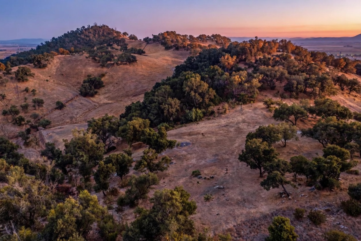 This stunning aerial view captures a sprawling, golden-hued California landscape at sunset, characterized by rolling hills dotted with mature oak trees. The scene showcases the natural topography and vast open space, emphasizing the property's expansive scale and serene rural atmosphere. It offers a prime perspective of the land's potential for estate development or recreational use.