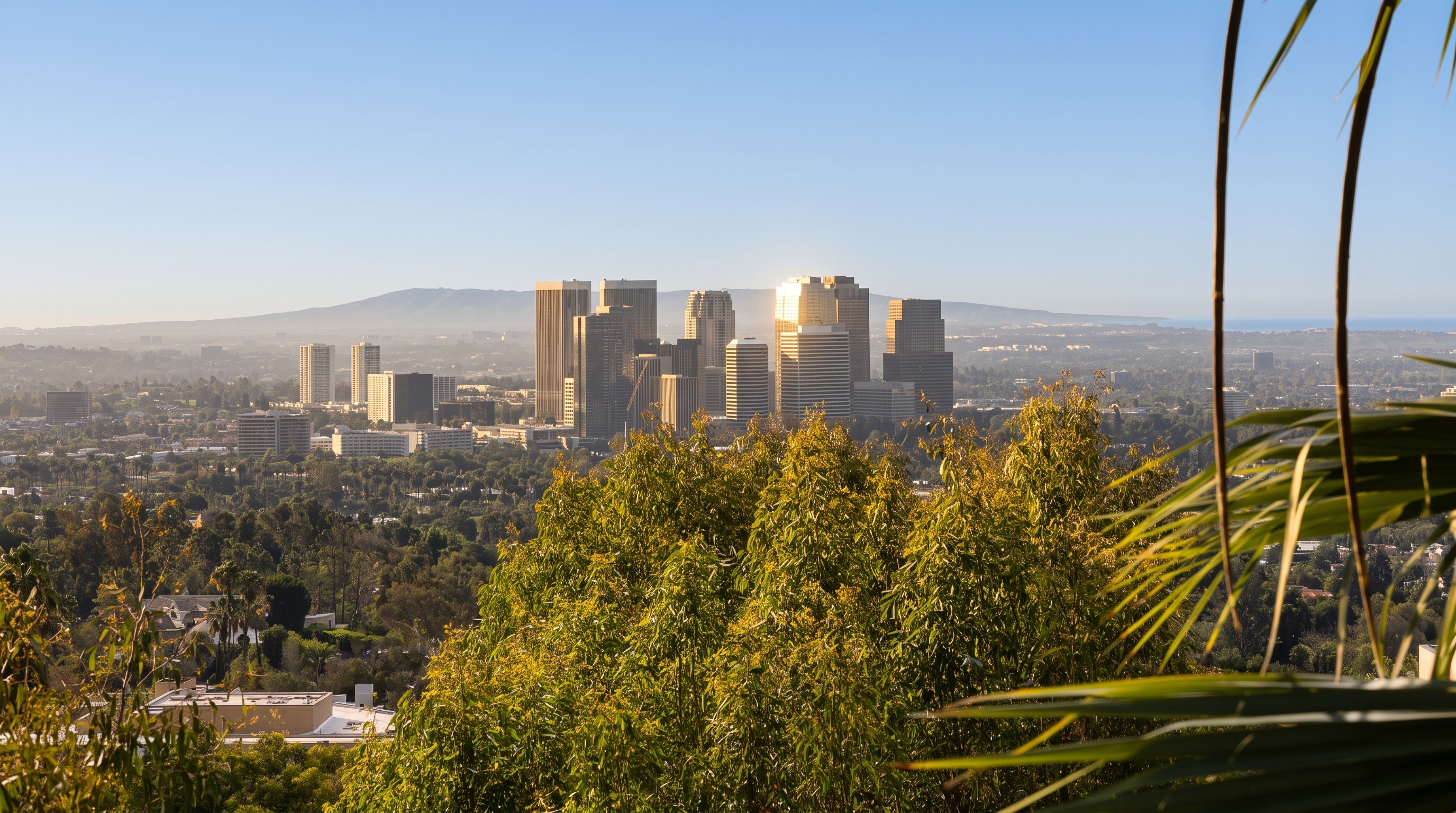 This elevated perspective captures a sweeping, panoramic view of the Century City skyline in Los Angeles, framed by lush green trees and palm fronds in the foreground. The clear blue sky provides a bright backdrop for the dense cluster of high-rise office buildings and residential towers. The vantage point suggests a hillside location, emphasizing the property's desirable position with expansive city vistas.