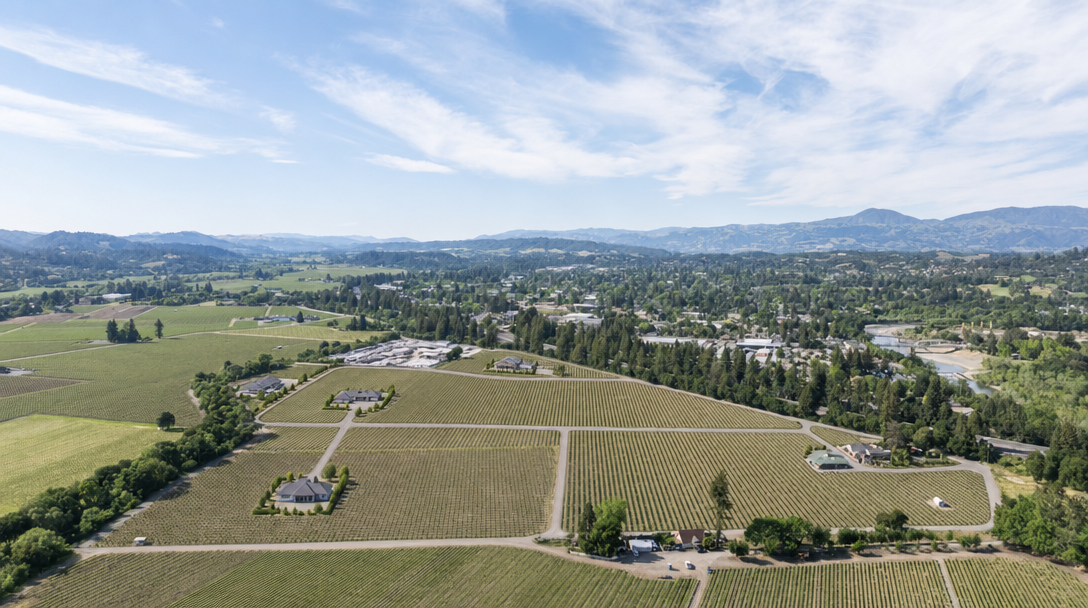 This high-altitude aerial view showcases a sprawling vineyard estate featuring multiple residential structures integrated within expansive rows of grapevines. The property is characterized by its rural, agricultural charm, bordered by dense tree lines, a winding river, and a distant mountain range. It offers a unique opportunity for someone seeking a scenic, lifestyle-focused vineyard property with ample space.