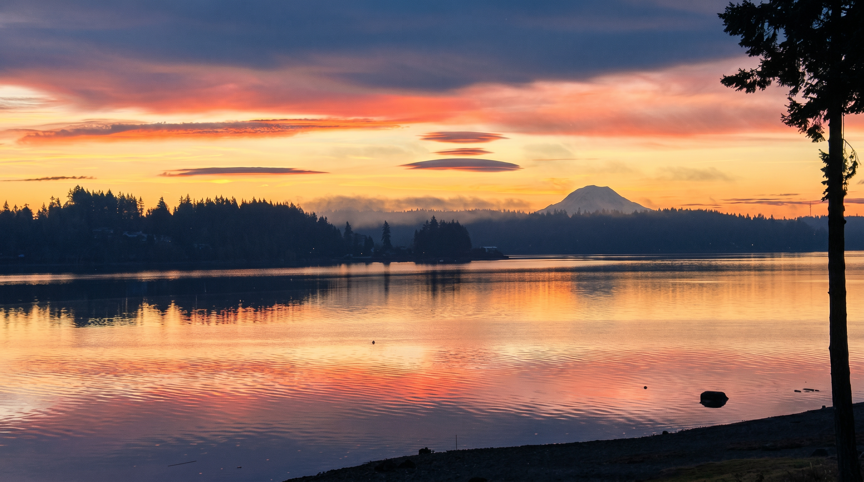 This scenic landscape view captures a serene waterfront at sunset, featuring a calm body of water reflecting the vibrant orange and purple hues of the sky. In the distance, a prominent mountain silhouette rises above a dense treeline, while unique lenticular clouds hover in the upper atmosphere. The foreground includes a dark, pebbled shoreline and the silhouette of a tall evergreen tree on the right, creating a peaceful and picturesque setting.