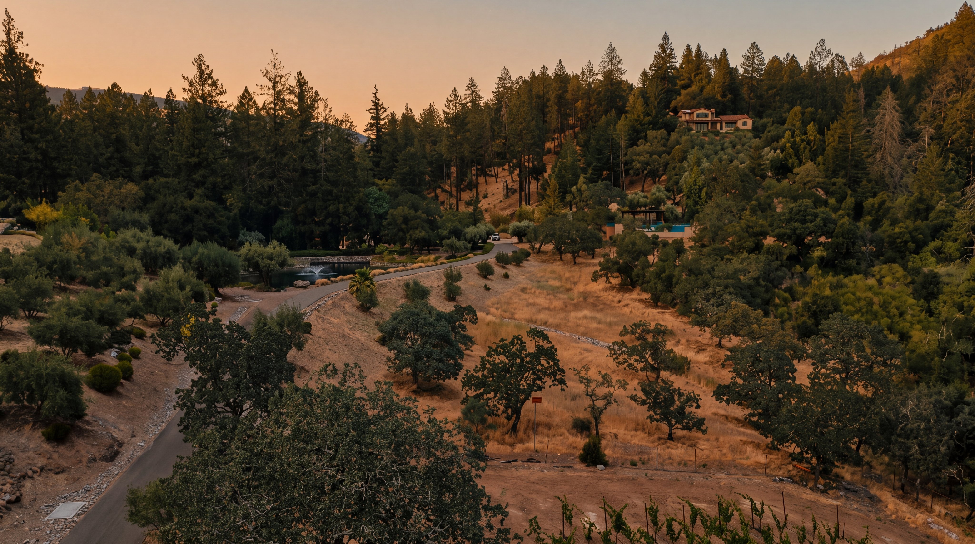 This expansive aerial view captures a sprawling rural estate nestled into a hillside landscape. The property features a private winding driveway, a small pond with a fountain, a vineyard in the foreground, and a residence positioned prominently on the upper slope surrounded by dense forest. The scene conveys a sense of seclusion, natural beauty, and significant acreage.