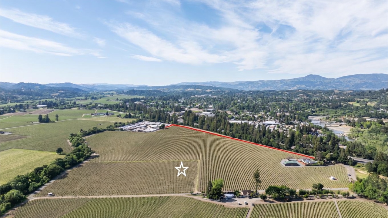 This aerial view showcases a expansive agricultural property, likely a vineyard, with defined parcels highlighted by red outlines. The landscape features vast rows of vines, a small cluster of structures, and mature trees, set against a backdrop of distant hills and a town. The perspective emphasizes the scale and potential development opportunities of the land.