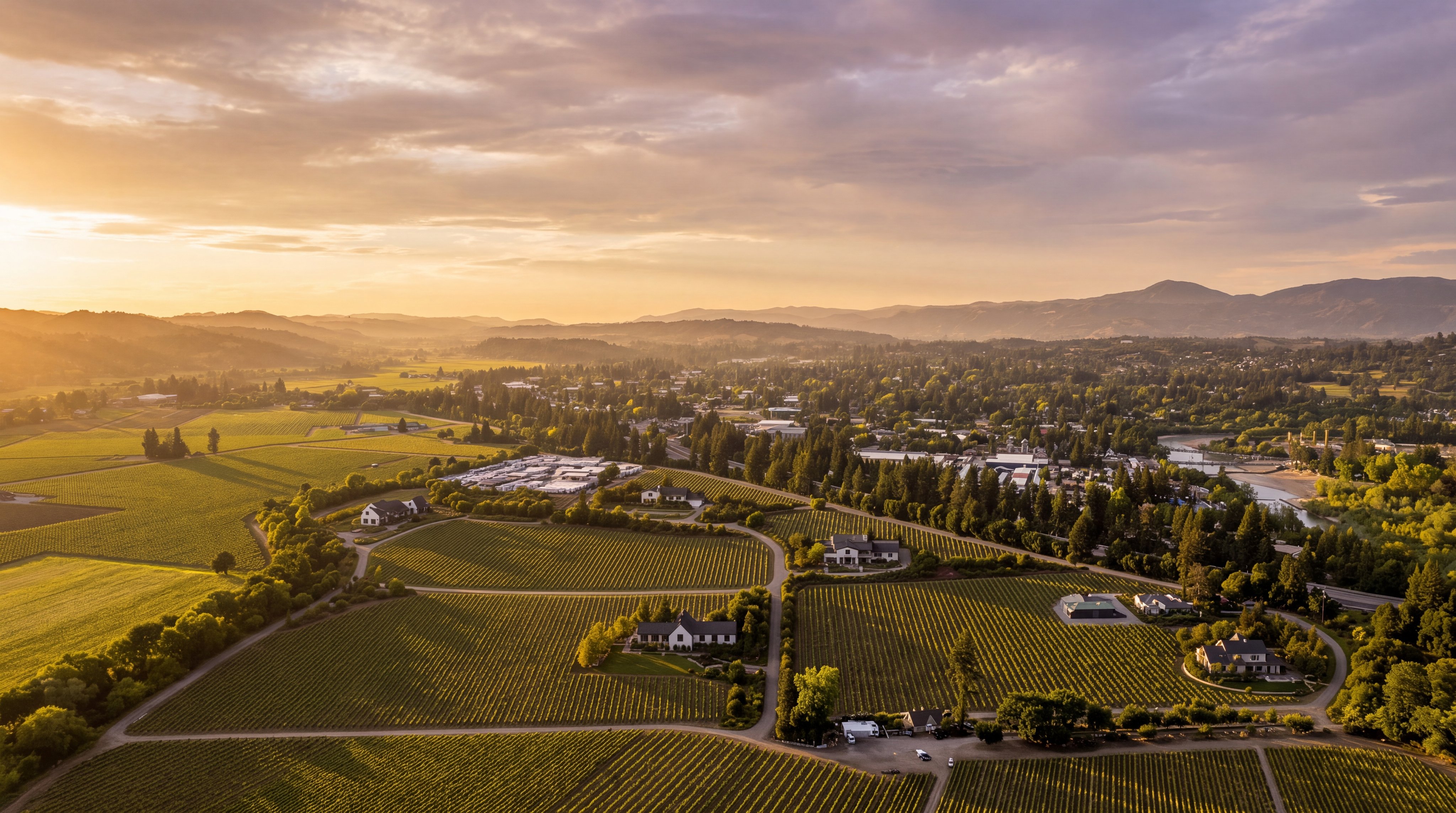 This wide-angle aerial shot showcases a expansive vineyard property in a picturesque, hilly landscape. The land, marked with a prominent red outline, features orderly rows of vines and sits adjacent to a town with mature trees and proximity to a river or stream. The overall impression is one of a prime agricultural investment opportunity located in a scenic, established region.