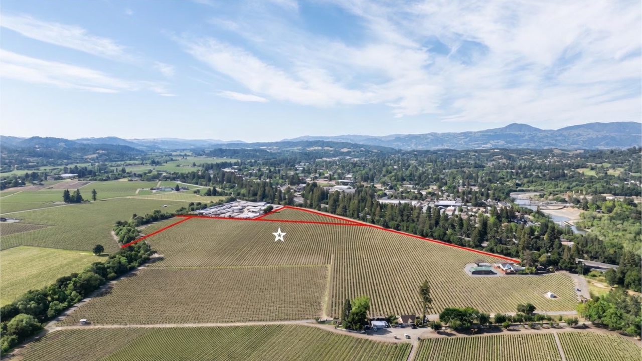 This aerial view showcases a expansive agricultural property, likely a vineyard, outlined in red with a prominent white star marking a specific parcel. The landscape features vast rows of vines, mature trees, and a small building complex, all situated within a scenic valley setting. It highlights significant potential for development or continued cultivation in a picturesque rural location.