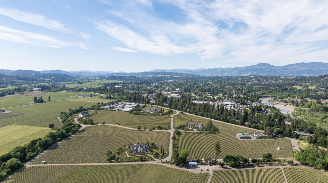 This stunning aerial view captures a sprawling vineyard estate situated in a lush, picturesque valley with mountainous terrain in the distance. The property features multiple elegant, multi-story residences integrated seamlessly among neatly manicured vine rows and well-kept landscaping. The serene landscape, combined with the clear skies and expansive views, highlights the estate's prime location and sophisticated rural lifestyle.