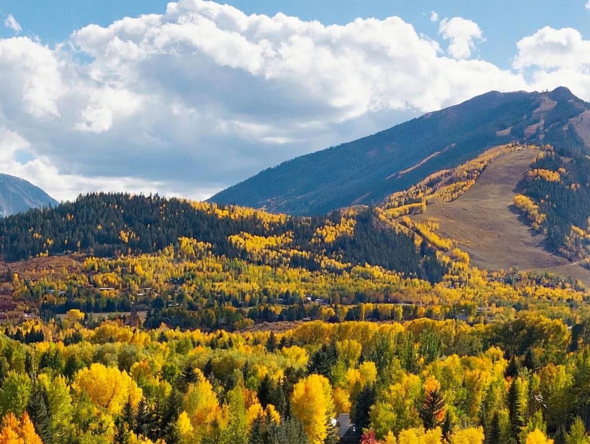 This elevated, wide-angle shot captures a breathtaking mountain landscape during the peak of autumn. The scene features a dense forest of vibrant yellow aspen trees contrasting with dark evergreen pines, set against the backdrop of a large, rugged mountain slope. The perspective provides a sweeping view of the natural terrain, emphasizing the scenic beauty and seasonal color palette of the location.