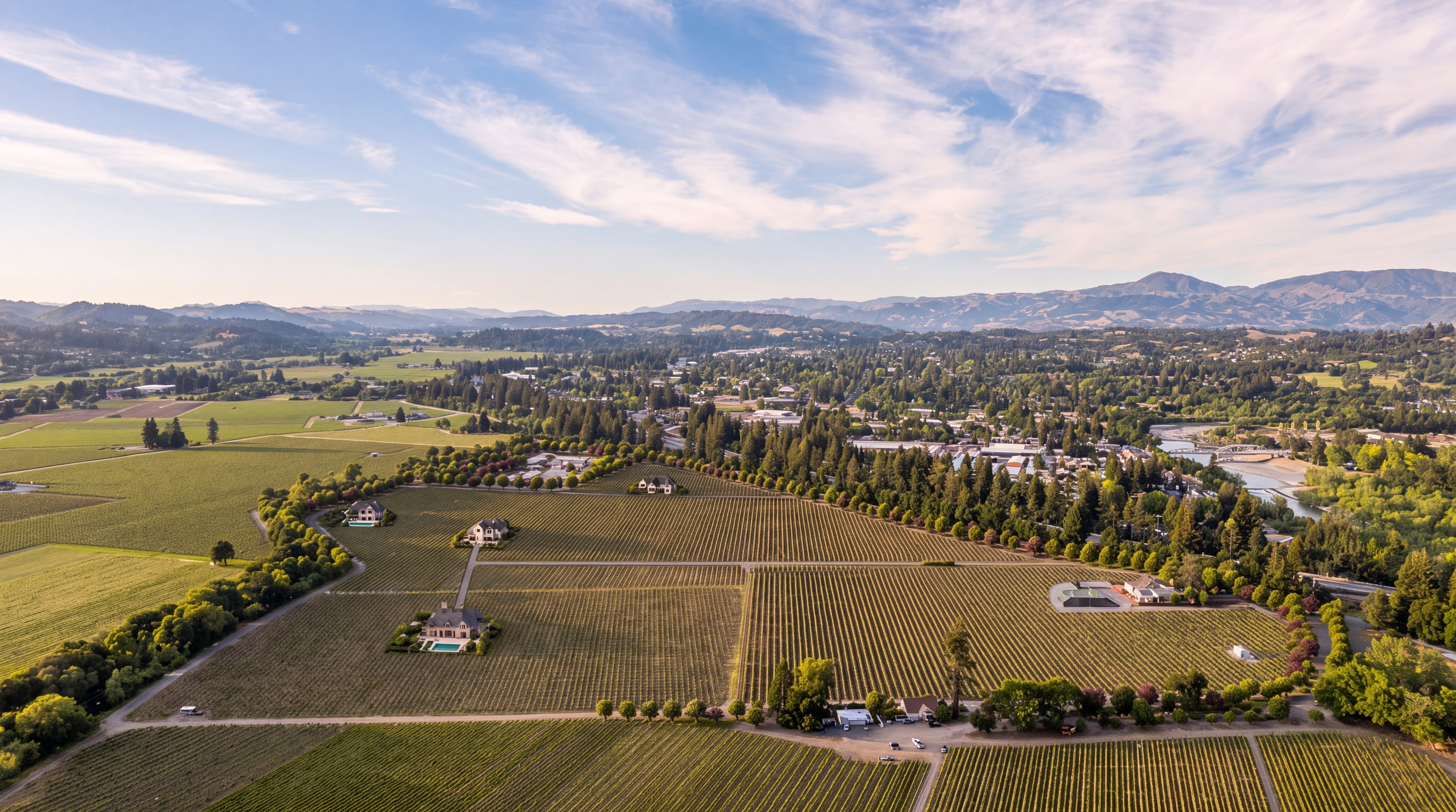 This stunning aerial view captures a sprawling vineyard property featuring multiple luxury residential home sites integrated into the landscape. The estate includes expansive manicured rows of vines, established trees, and clear access paths, suggesting a tranquil and high-end rural setting. The image provides a clear perspective of the property's significant scale, regional layout, and potential for estate development.