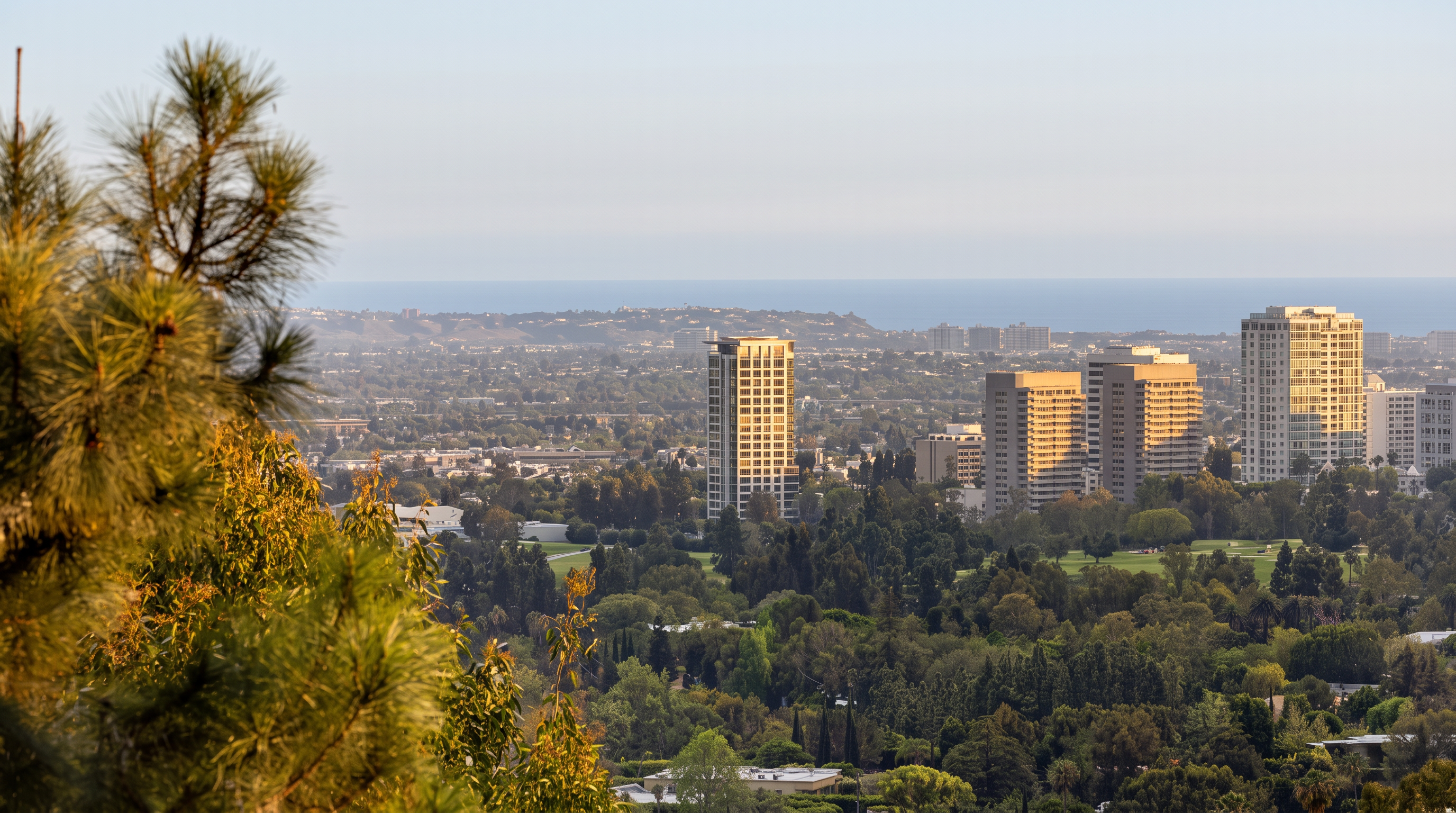 This elevated, wide-angle view captures a sprawling urban landscape framed by lush, mature trees in the foreground. Several high-rise residential towers stand prominently amidst a dense canopy of greenery, with the distant horizon revealing a clear blue sky meeting the ocean. The perspective suggests a high vantage point, likely from a hillside property, offering a serene and expansive outlook over the city.