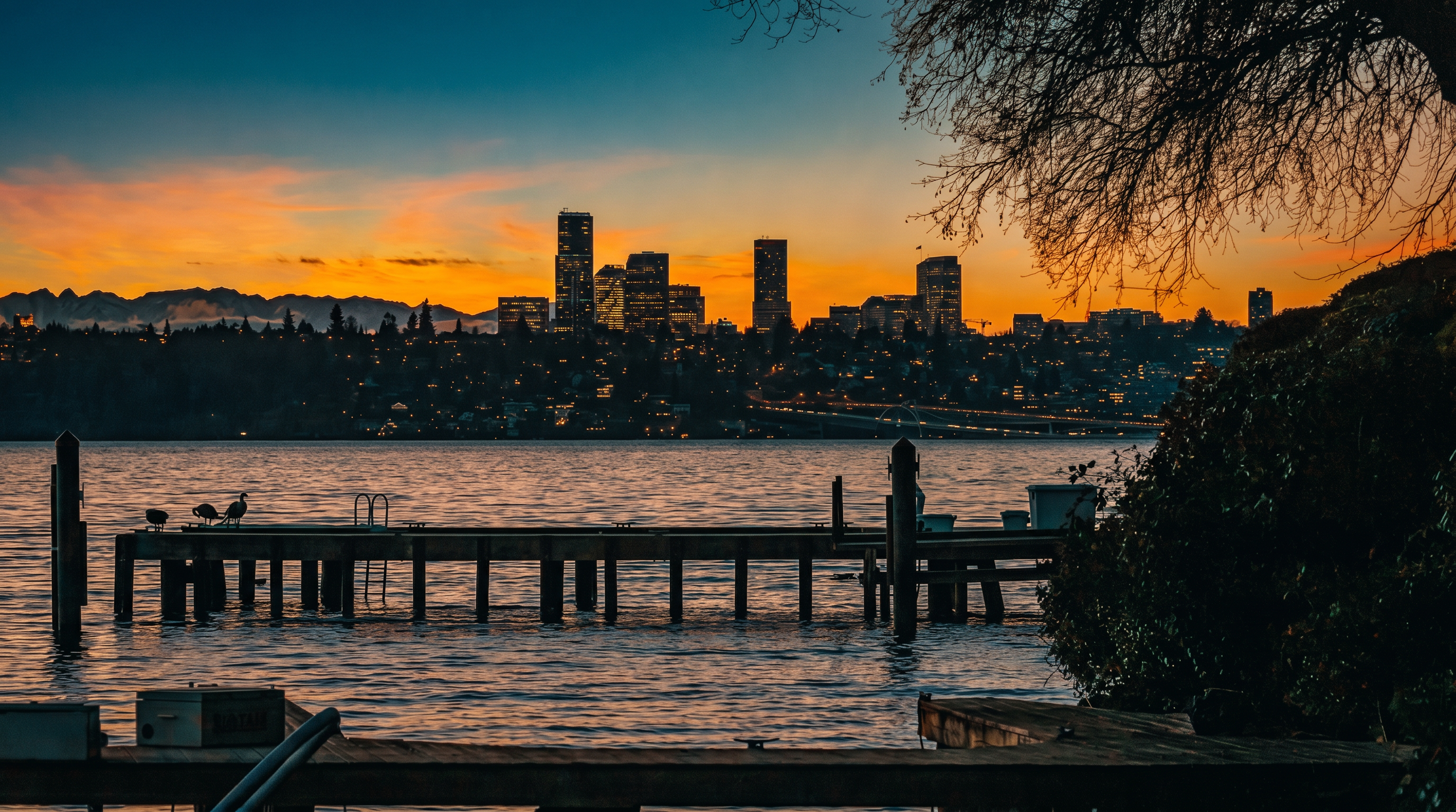 This scenic exterior view captures a serene waterfront perspective looking out toward a distant city skyline at sunset. In the foreground, a wooden dock extends into the calm water, with a few birds perched on it, framed by the silhouette of a tree branch on the right. The vibrant orange and blue hues of the twilight sky create a peaceful and picturesque atmosphere, highlighting the property's desirable location.