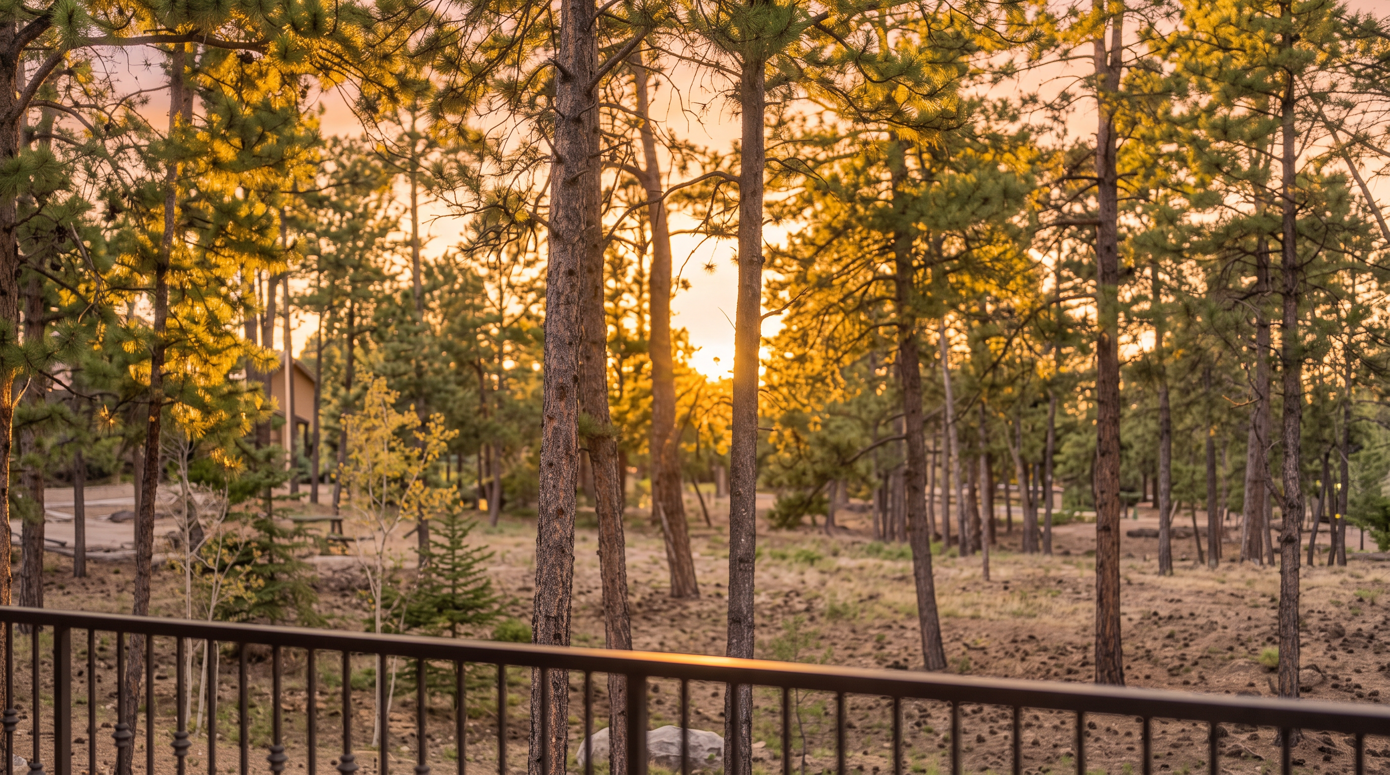 This view is captured from an elevated balcony, looking out over a serene, forested landscape at sunset. The prominent metal railing in the foreground frames the wooded scenery, which includes a mix of pine trees and open, natural ground cover. The warm, golden light filtering through the trees creates a peaceful and inviting atmosphere typical of a mountain retreat or vacation property.