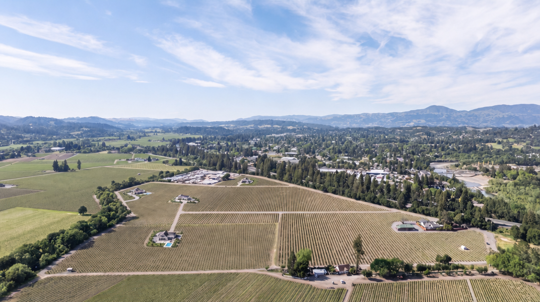This stunning aerial view captures a vast vineyard estate set against a backdrop of rolling hills and a distant mountain range. The property features neatly manicured grapevines, several elegant residential structures with pools, and extensive surrounding greenery. It presents an idyllic, expansive setting that highlights the property's significant scale and peaceful agricultural character.