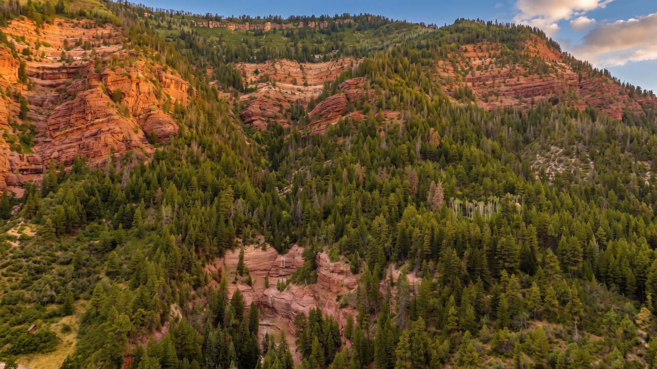 This aerial perspective captures a vast, rugged mountain landscape characterized by dramatic red rock cliffs and dense evergreen forests. The terrain features steep, layered geological formations interspersed with patches of lush green trees and rocky outcrops. The composition emphasizes the expansive, natural beauty of the wilderness, suggesting a remote and scenic location.