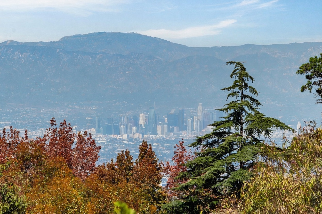 This image captures a scenic, elevated view of a sprawling city skyline nestled against a backdrop of large, hazy mountains. In the foreground, a prominent evergreen tree and autumn-toned foliage frame the vista, providing a sense of depth and natural beauty. The perspective is from a high vantage point, emphasizing the expansive landscape and the impressive scale of the urban environment below.