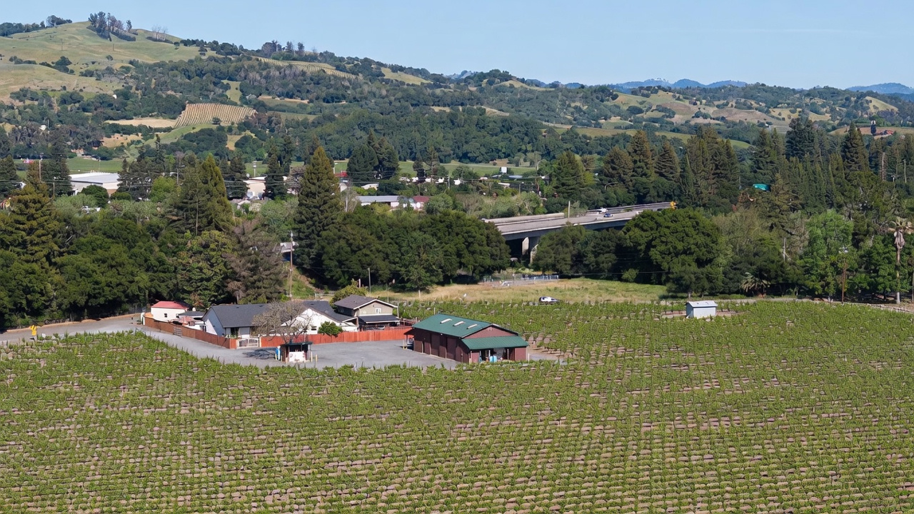 This high-angle aerial view captures a sprawling vineyard property featuring a residential home and a detached workshop building. The landscape is dominated by rows of grapevines, with a paved driveway connecting the structures and a highway overpass visible in the background. The setting is rural and scenic, framed by rolling hills and mature trees under a clear blue sky.