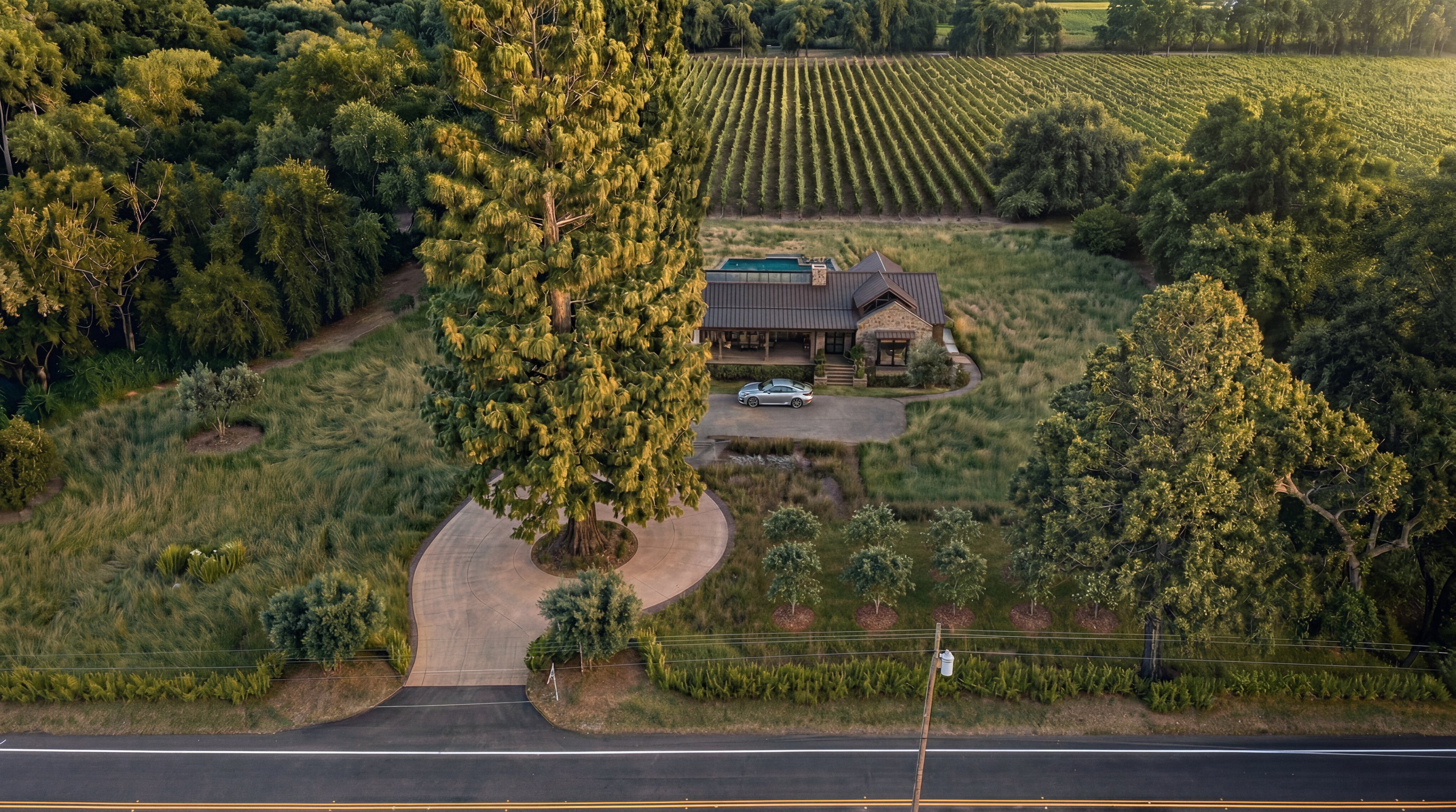 This stunning aerial view captures a contemporary farmhouse-style estate nestled amidst lush greenery, a large heritage tree, and extensive private vineyards. The property includes a paved circular driveway, a private swimming pool, and pristine natural landscaping that integrates seamlessly with the rural setting. The use of warm, natural light enhances the serene and exclusive appeal of this elegant country residence.