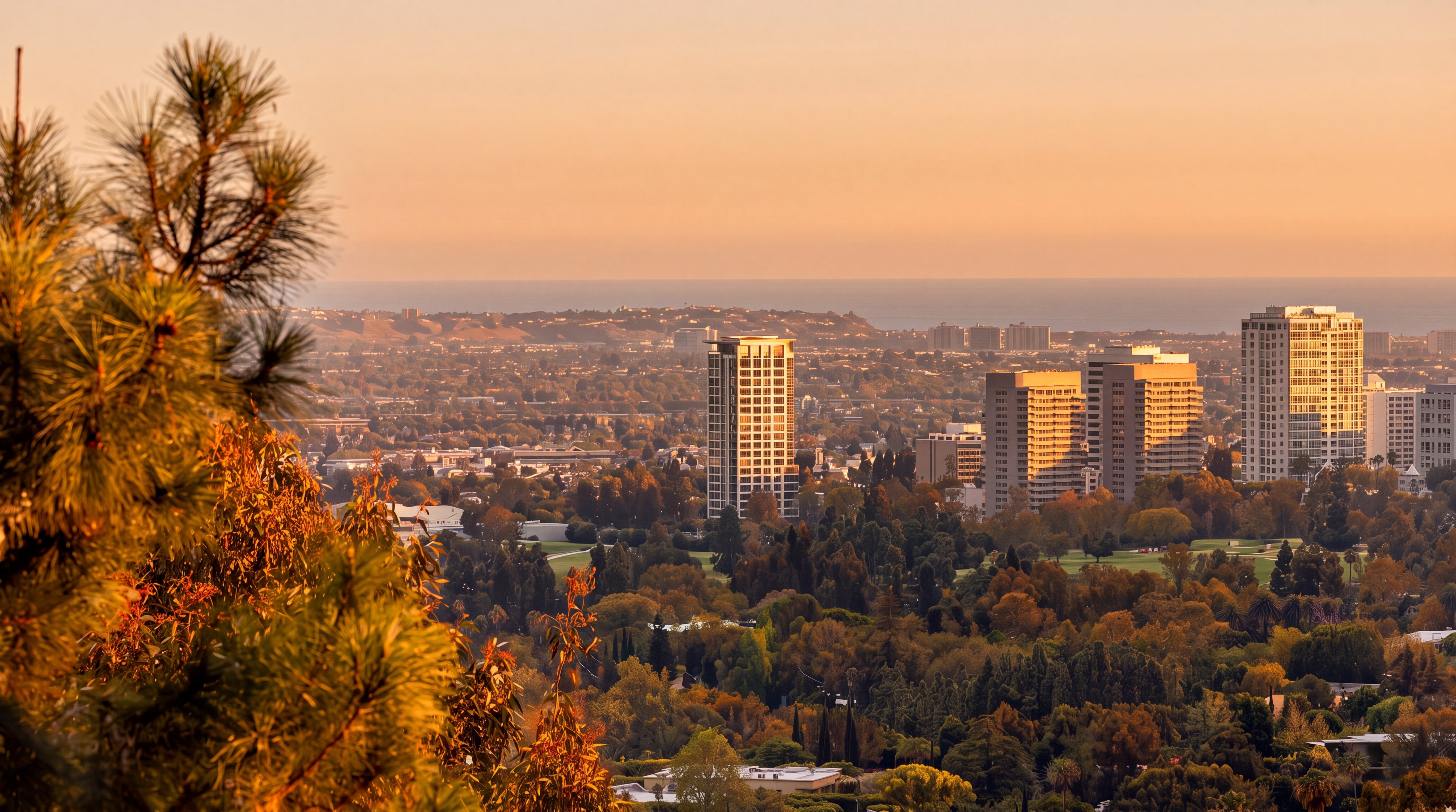 This panoramic aerial view captures an expansive urban landscape featuring prominent high-rise residential buildings set amidst a lush, tree-filled environment. The scene is bathed in the warm, golden light of sunset, highlighting the architecture against a distant horizon that hints at coastal proximity. The composition emphasizes the scenic outlook, suggesting a prime location that balances urban convenience with mature greenery.