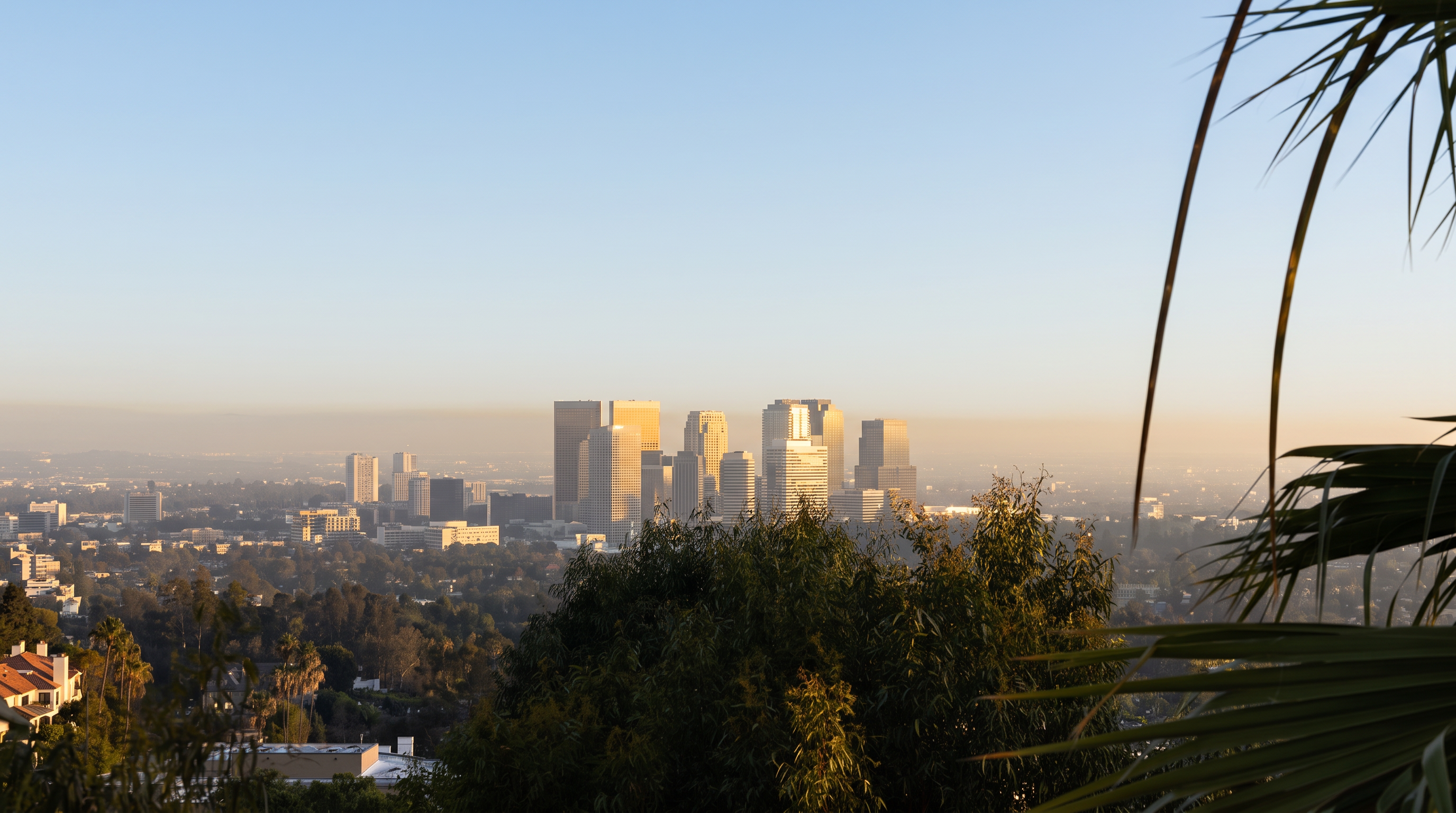 This image provides a scenic, elevated panoramic view of a city skyline during the golden hour, framed by lush foliage and palm fronds. The composition highlights the urban density and architectural scale of the metropolitan area against a clear sky. It suggests a high-end residential location with desirable views, likely from a hillside vantage point.
