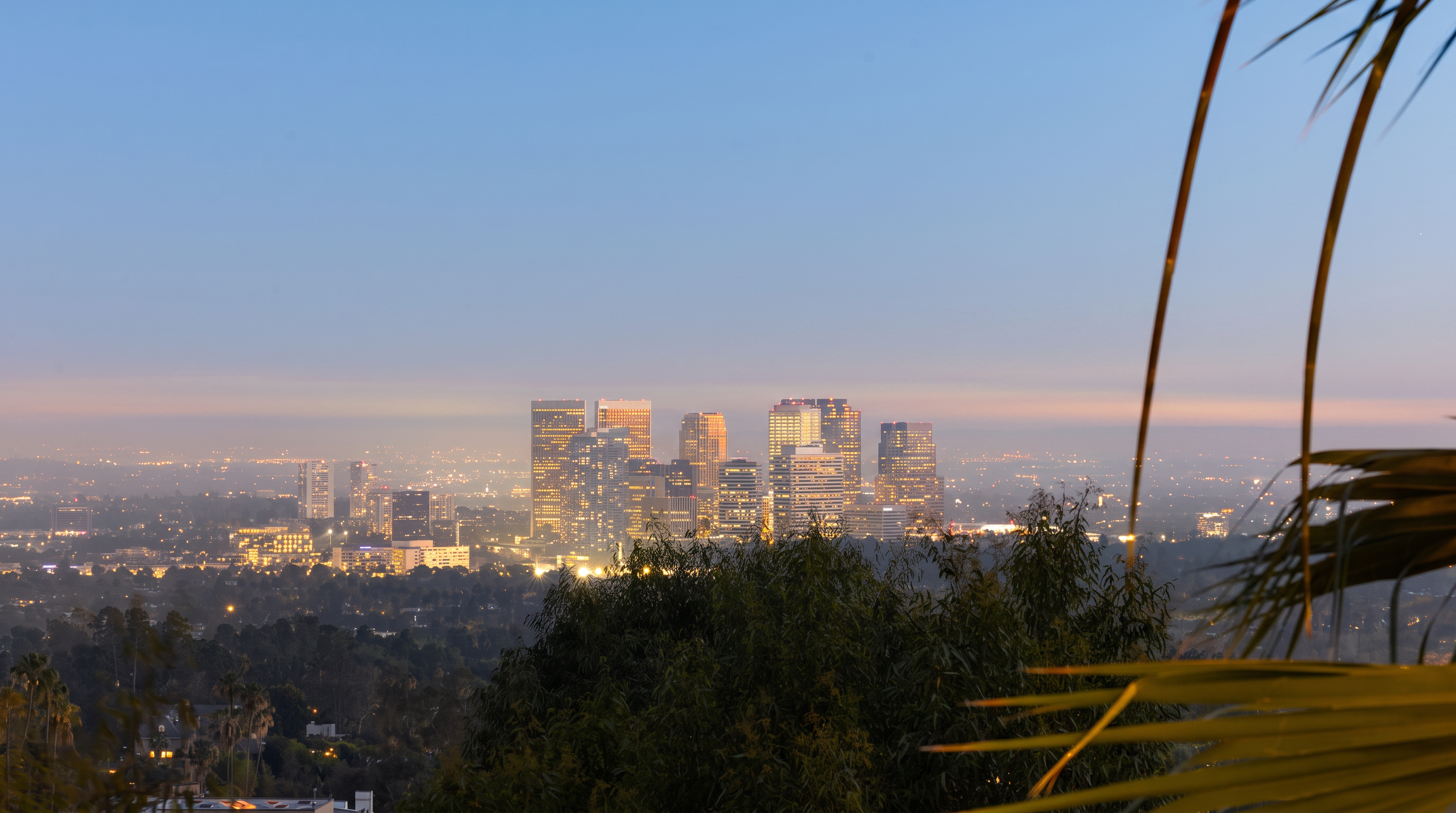 This image captures a scenic, elevated view of a city skyline at dusk, framed by the silhouettes of palm fronds in the foreground. The cityscape features a cluster of illuminated high-rise buildings set against a soft, gradient sky transitioning from deep blue to a hazy horizon. The perspective suggests a vantage point from a high-elevation property, emphasizing the expansive and desirable urban outlook.