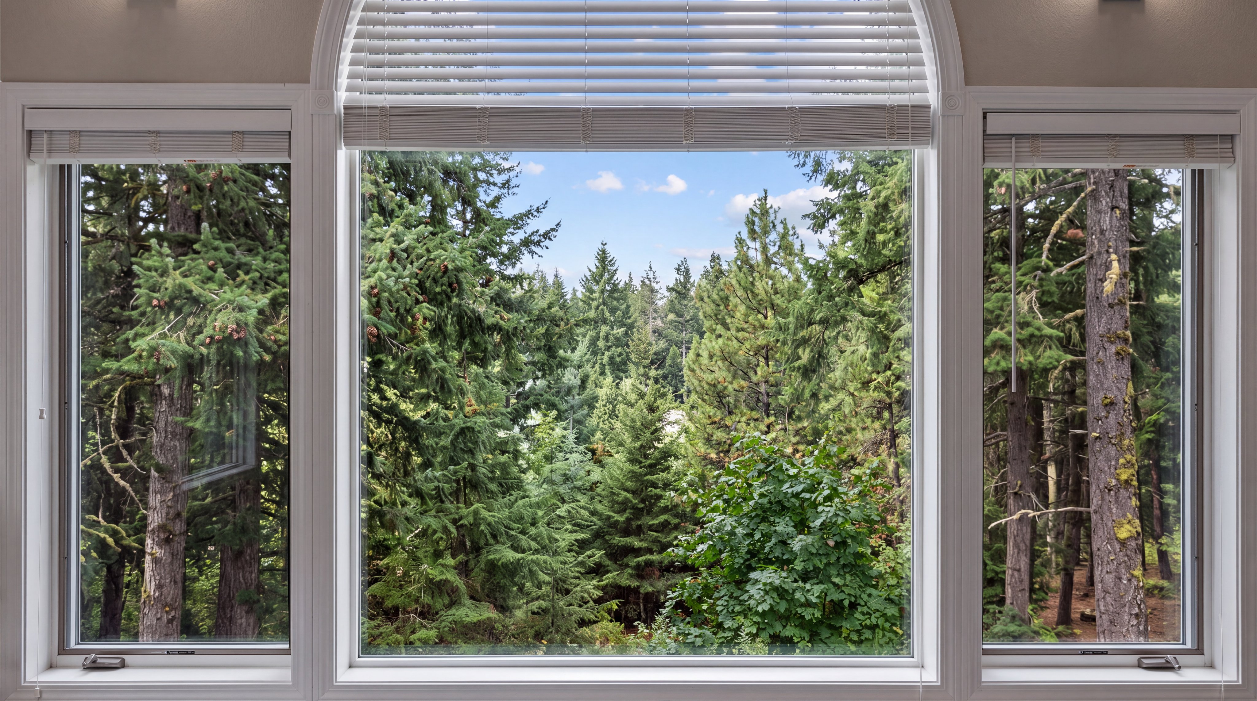 This image highlights an expansive, three-panel window arrangement characterized by a central arched window with integrated blinds. The large glass panes provide an immersive, unobstructed view of a lush, wooded forest, effectively bringing natural beauty into the interior space. The white trim and clean framing lend a bright, elegant aesthetic that emphasizes the home's connection to its scenic environment.