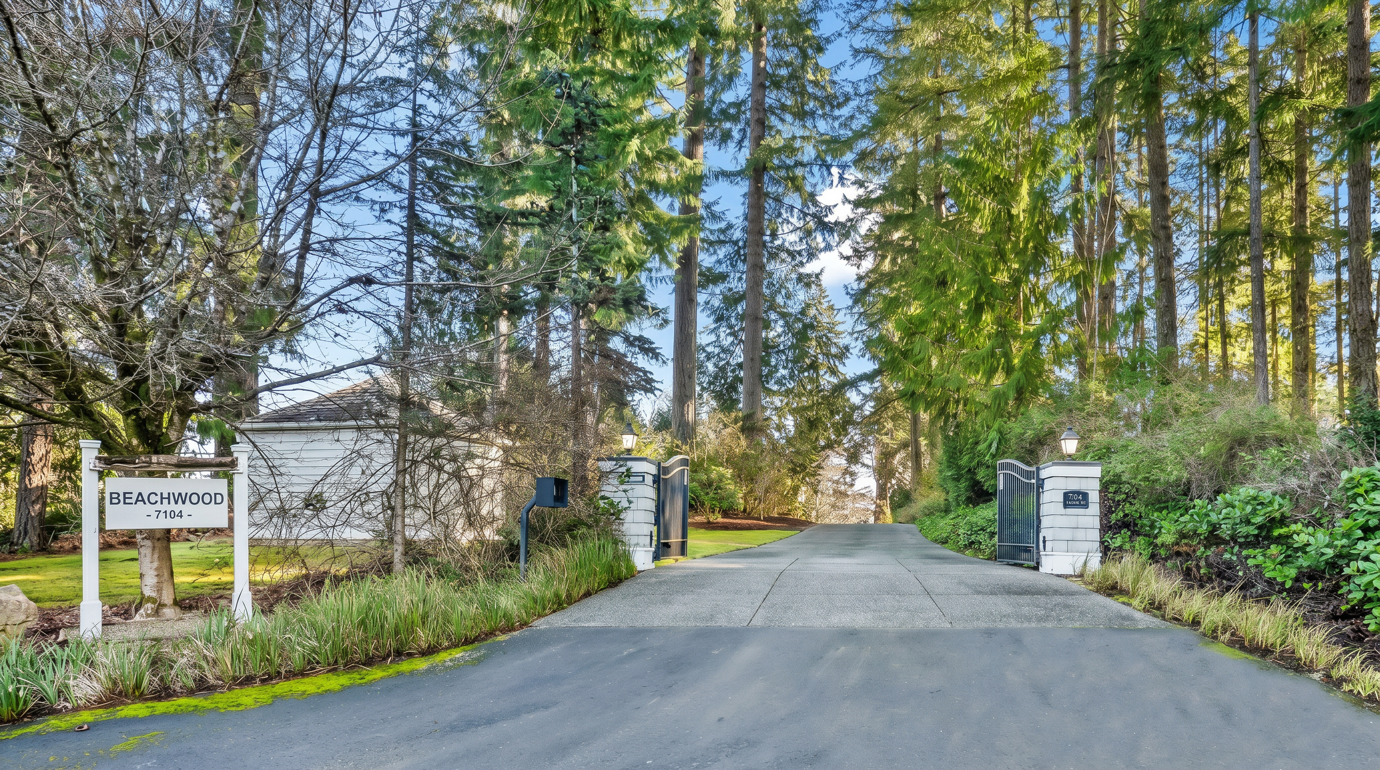 This image captures the gated entrance to a private property, marked by a wooden sign labeled 'Beachwood - 7104'. A paved driveway leads through stone pillars and iron gates, flanked by lush green lawns and a dense canopy of tall evergreen trees. The perspective is a wide-angle ground-level shot looking down the driveway, emphasizing the secluded and wooded nature of the estate.