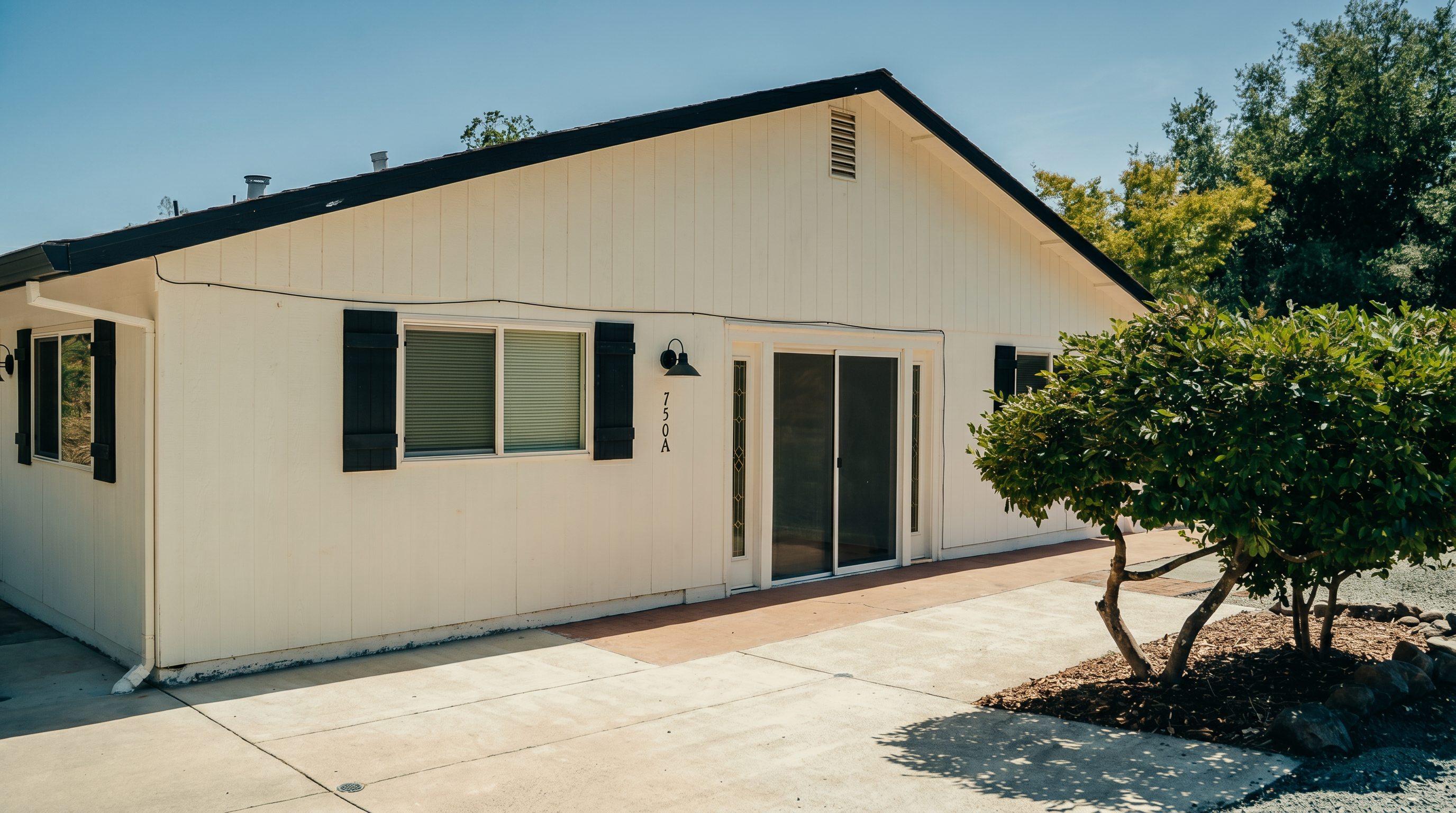 This single-story home features light-colored vertical siding, dark-trimmed windows with black shutters, and a prominent sliding glass door entryway. A concrete driveway leads up to the front of the house, complemented by a small tree and potted plants near the entrance. The scene is captured from a low-angle, eye-level perspective on a bright, sunny day, highlighting the clean and simple architectural lines of the property.