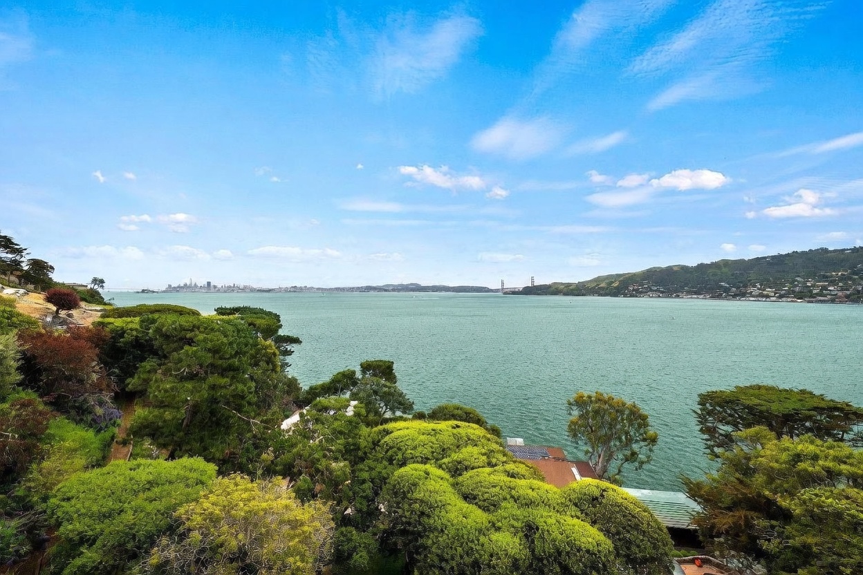 This elevated, wide-angle shot captures a breathtaking panoramic view of a bay, featuring a distant city skyline and a bridge on the horizon. The foreground is dominated by lush, dense green trees and foliage that frame the expansive water view. The perspective provides a serene, high-vantage point that emphasizes the property's prime coastal location and natural surroundings.