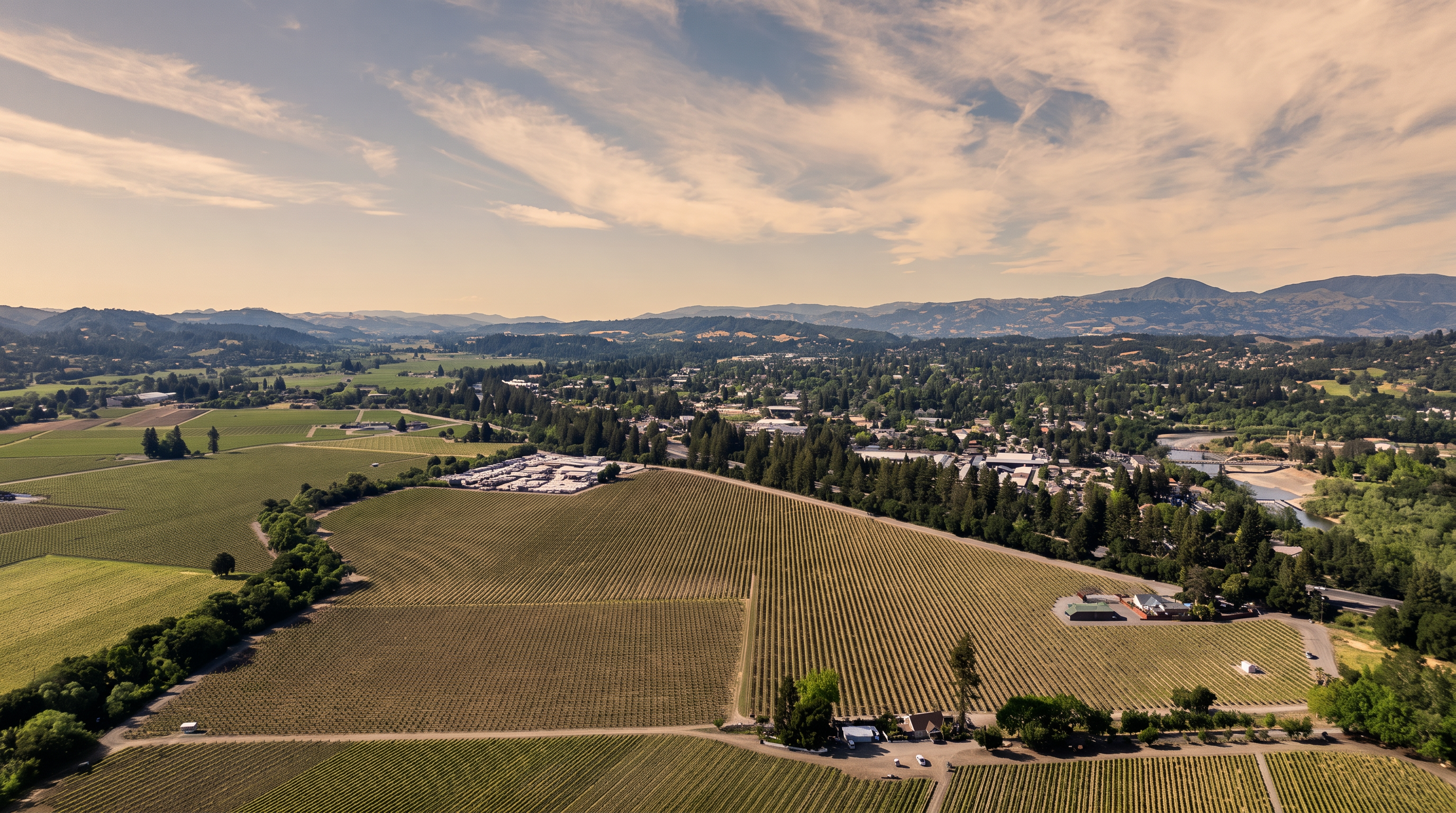 This expansive aerial view captures a vast vineyard landscape stretching toward a distant town and rolling mountains under a bright, partly cloudy sky. The property features neatly organized rows of grapevines, a small cluster of buildings, and mature trees, offering a serene and picturesque rural setting. The perspective provides a comprehensive look at the property's scale and its integration into the surrounding natural environment.