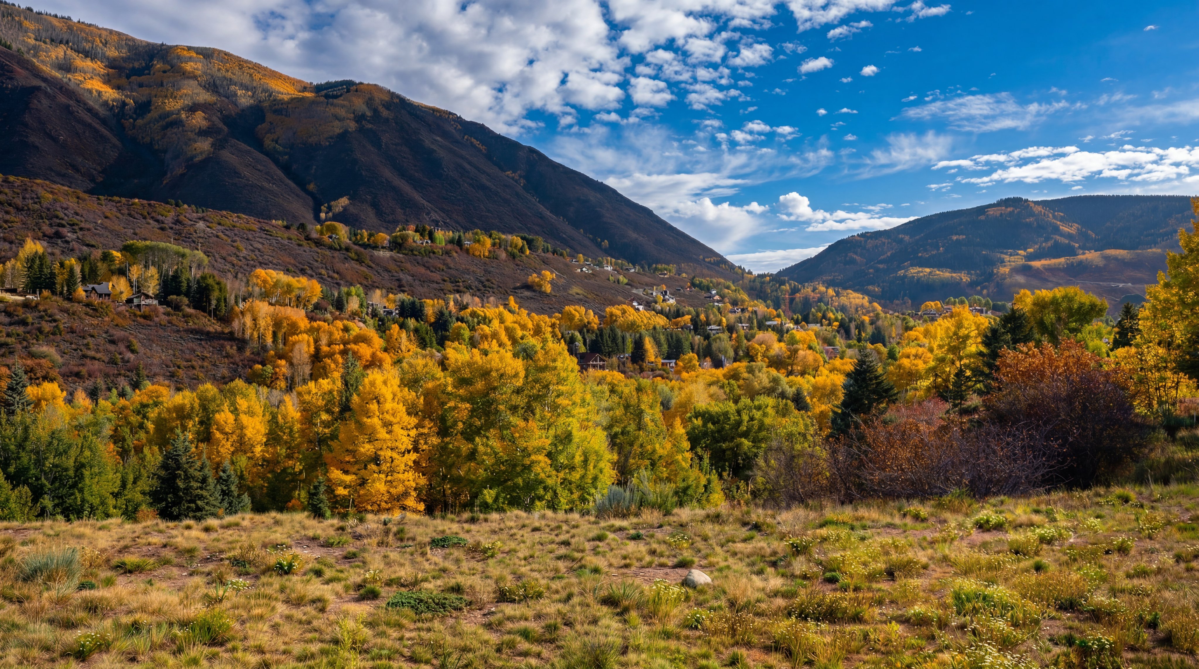 This wide-angle landscape shot captures a scenic, elevated view of a valley filled with vibrant autumn foliage, primarily golden aspen trees. In the foreground, a natural, grassy meadow leads the eye toward the forested slopes and distant mountains under a bright, partly cloudy sky. The perspective suggests a spacious, undeveloped lot or a vantage point overlooking a residential area nestled within the trees.