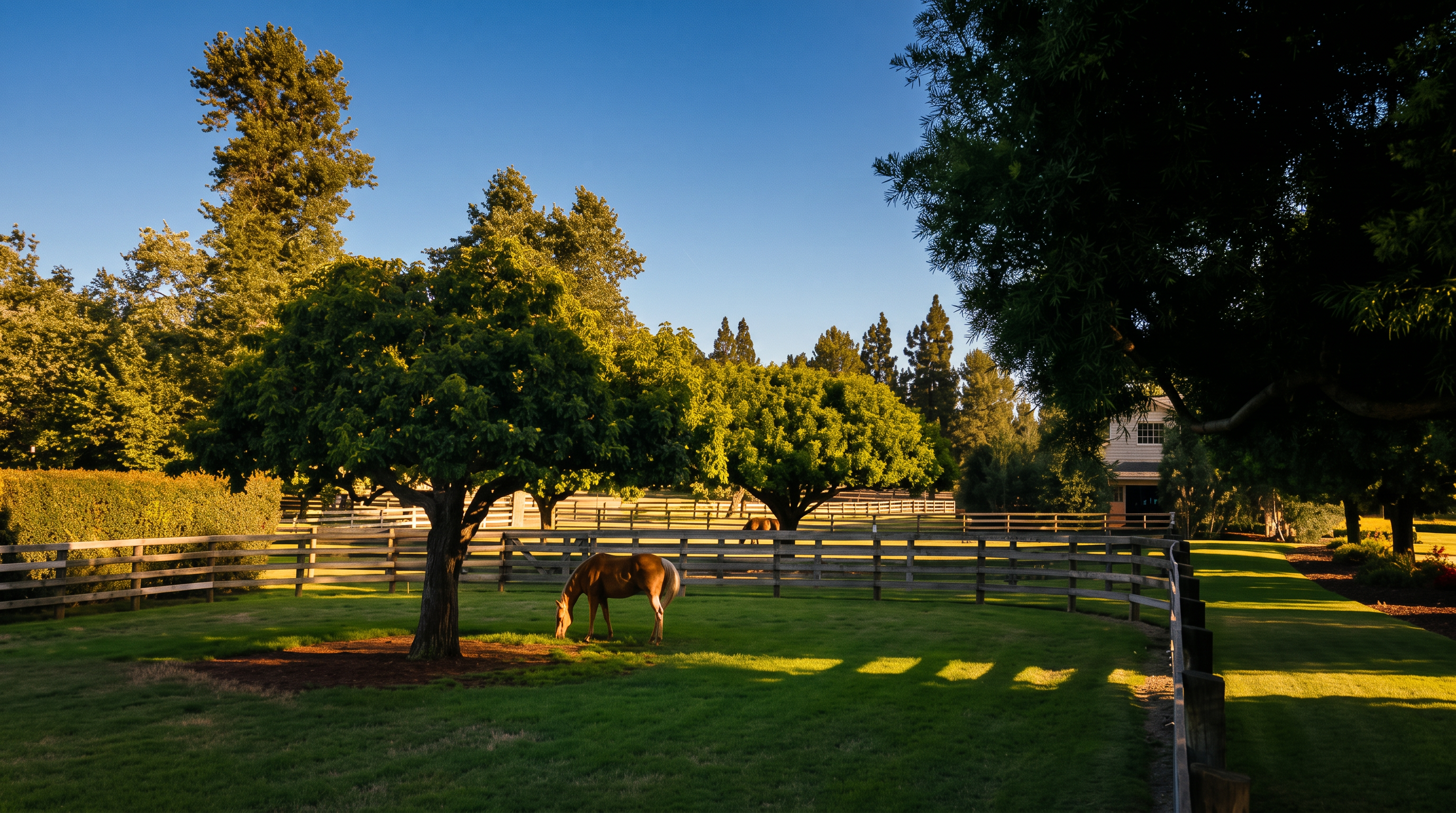 This expansive, well-manicured backyard features a lush green lawn enclosed by classic post-and-rail wooden fencing. A horse grazes peacefully under the shade of a large, mature tree, while a second horse is visible in the distance. The scene captures a serene, pastoral atmosphere with a glimpse of a residential structure in the background, suggesting a spacious and tranquil equestrian-friendly property.