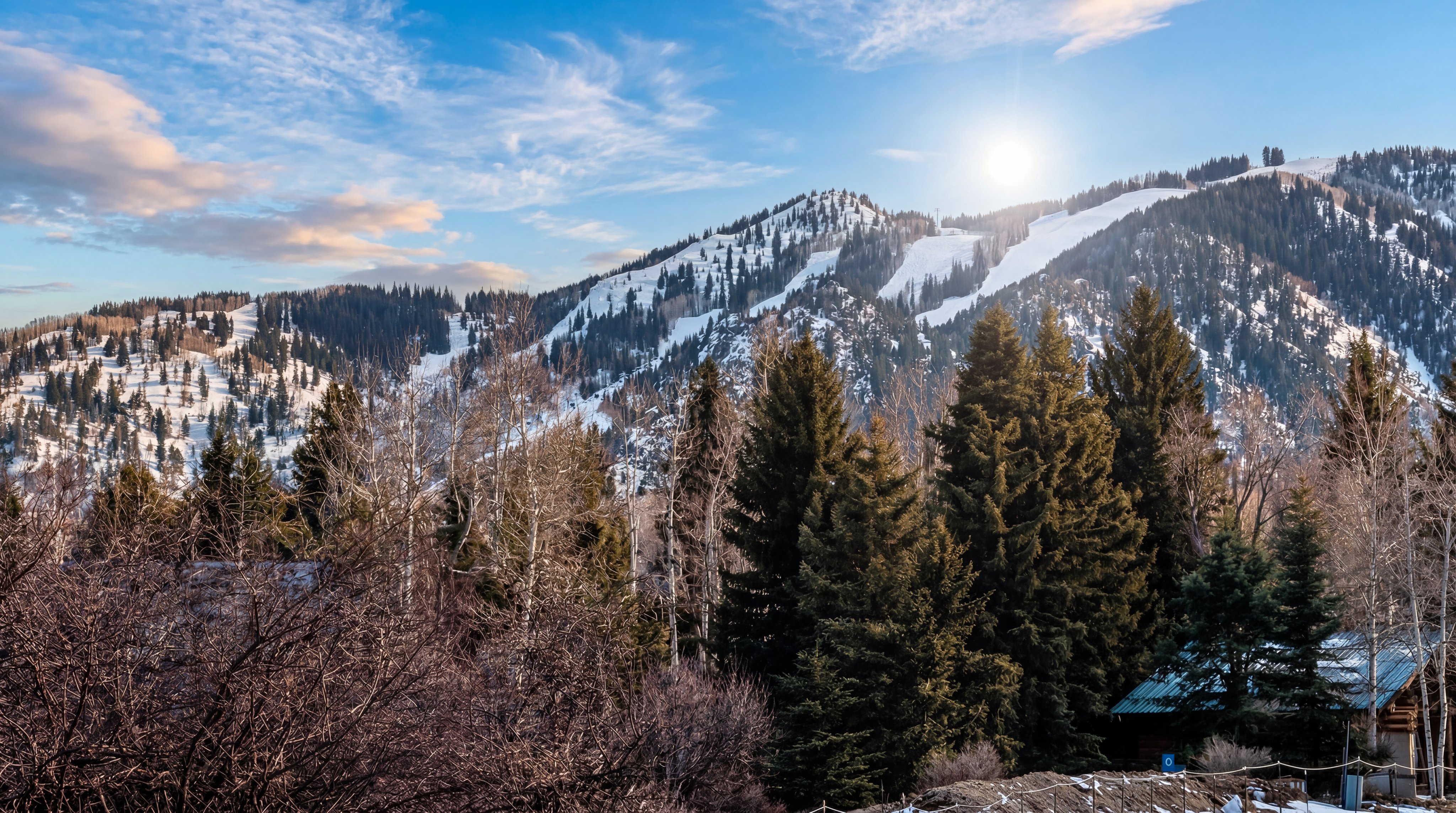 This image captures a scenic, elevated view of a snow-dusted mountain range, likely a ski resort, featuring prominent groomed ski runs cutting through dense evergreen forests. In the foreground, a mix of bare deciduous trees and tall pine trees frames the vista, providing a sense of depth and natural surroundings. The perspective is from a slightly elevated vantage point, emphasizing the expansive landscape and the proximity to outdoor recreational activities.