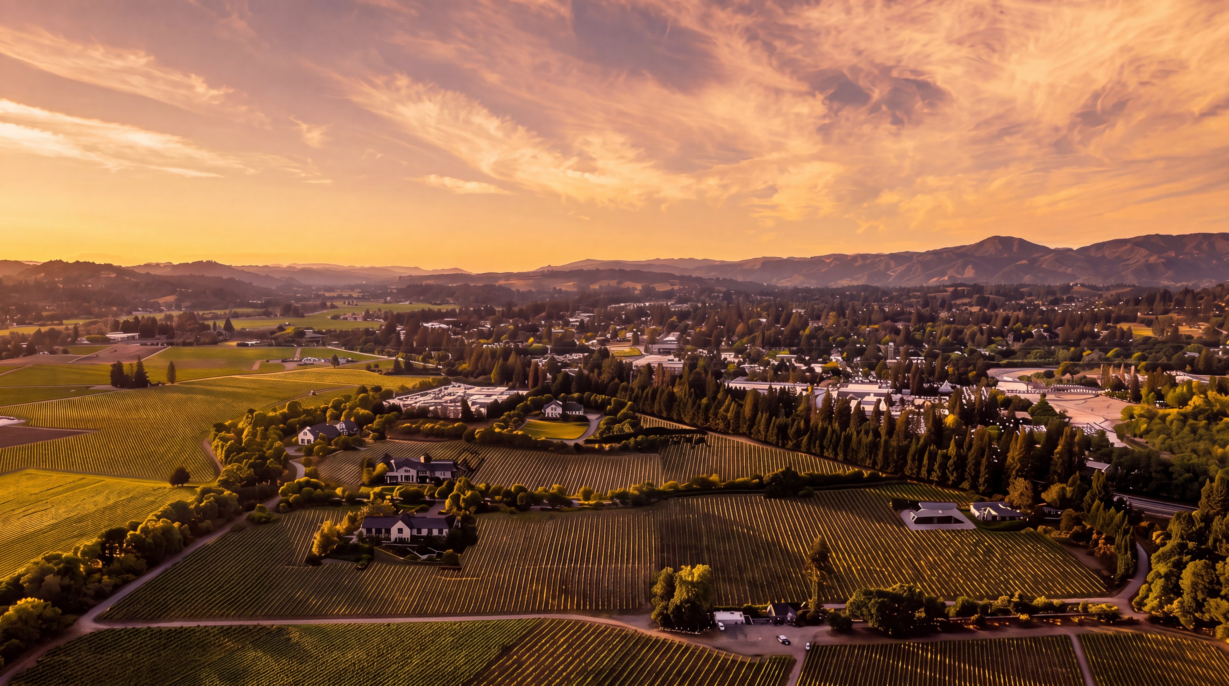 This stunning aerial view captures a vast vineyard estate set against a backdrop of rolling hills during a golden sunset. The property features well-manicured rows of grapevines interspersed with mature trees and several residential dwellings with modern, classic aesthetics. The expansive layout highlights the prime location, emphasizing both the tranquility of the countryside and the scale of the agricultural land.