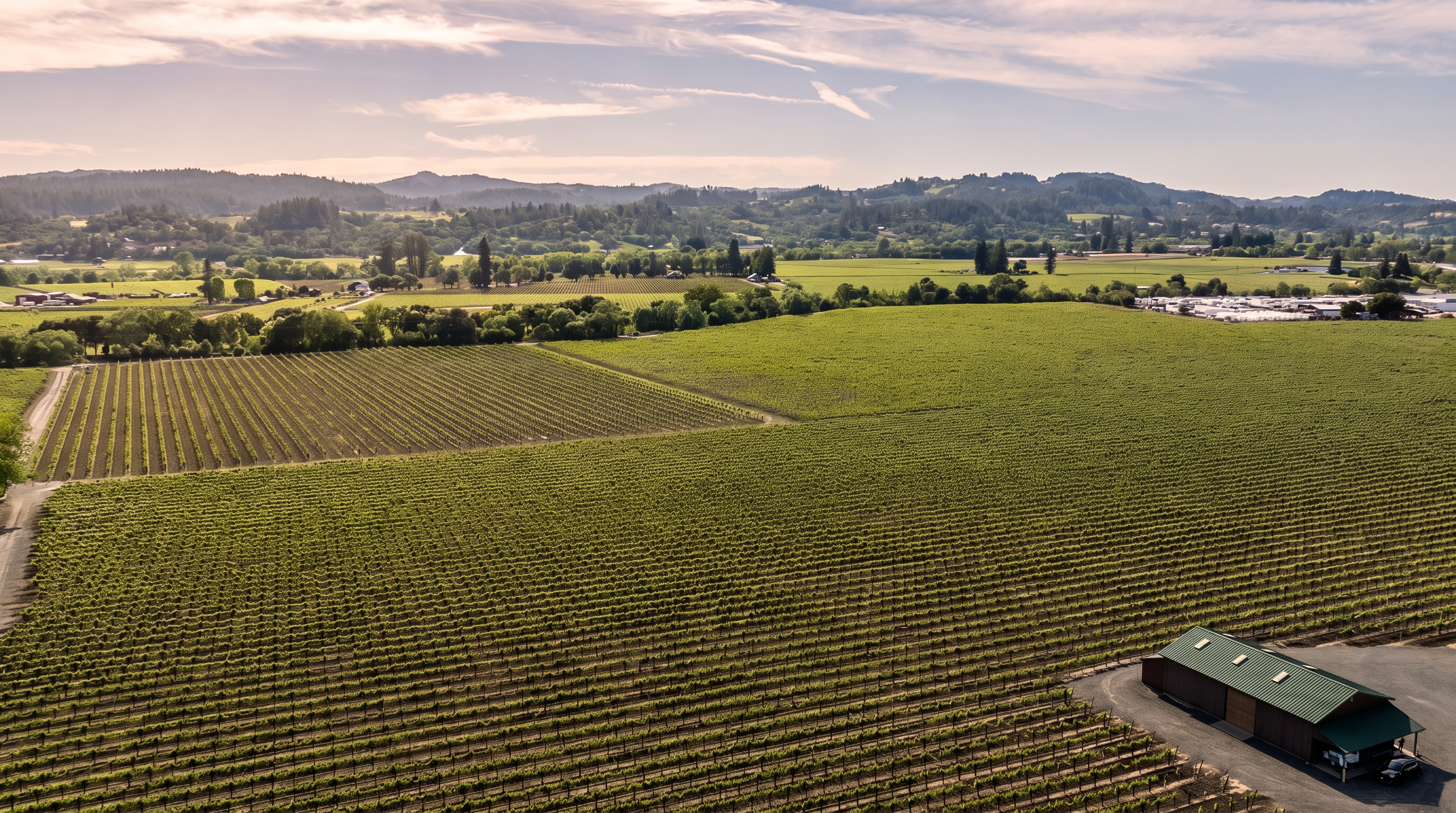 This expansive aerial view captures a vast vineyard landscape stretching toward distant rolling hills under a bright, clear sky. In the foreground, a functional barn with a green metal roof sits adjacent to the meticulously planted rows of grapevines. The perspective provides a comprehensive look at the property's scale and its serene, rural setting.