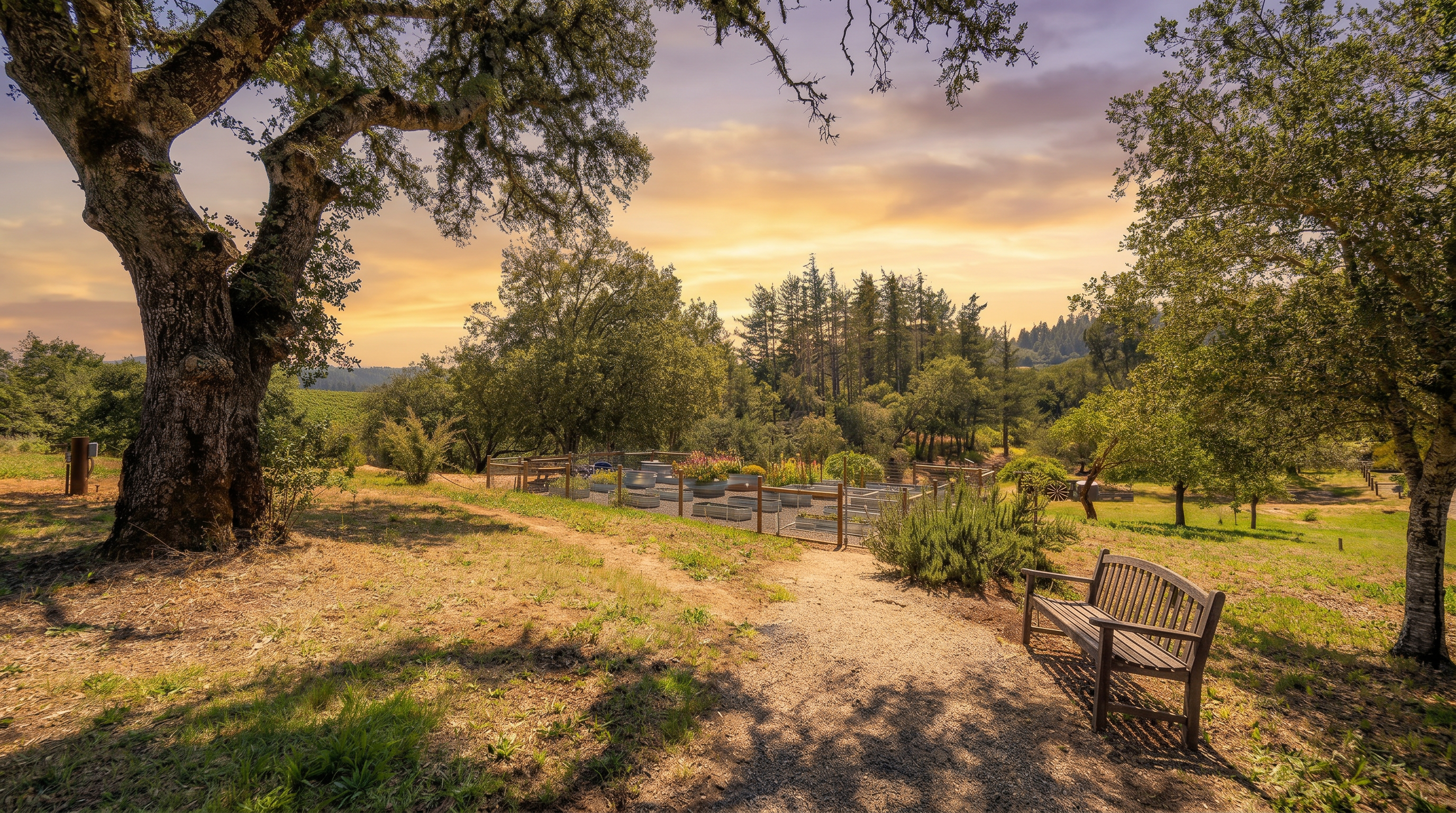 This serene outdoor space features a gravel path leading toward a fenced vegetable garden nestled among mature oak trees. A wooden bench sits to the right, offering a peaceful vantage point to enjoy the expansive, sun-drenched landscape. The scene captures a tranquil, rural atmosphere with rolling hills visible in the distance under a clear blue sky.