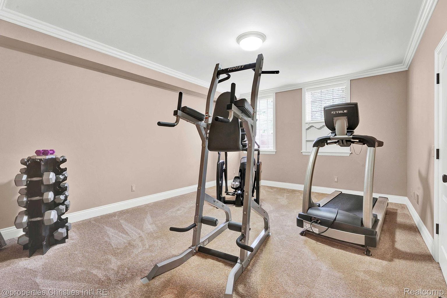 This is an interior shot of a home gym. The room features a weight rack with dumbbells, a Hoist fitness machine, and a True treadmill. The walls are painted a light peach color, and the floor is carpeted, creating a dedicated space for exercise within the home.
