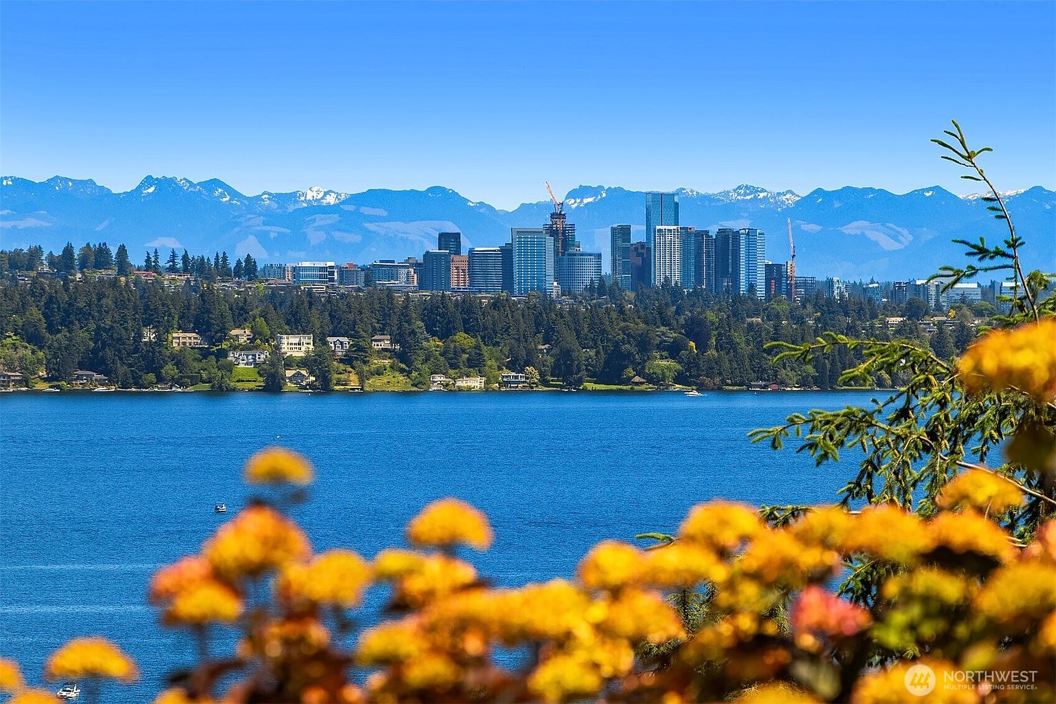 This scenic, wide-angle shot captures a breathtaking view of the Bellevue, Washington skyline across Lake Washington, framed by vibrant yellow flowers in the foreground. The composition highlights the contrast between the lush green treeline, the deep blue water, and the majestic, snow-capped Olympic Mountains in the distance. It provides a cinematic perspective that emphasizes the property's prime location and stunning natural surroundings.