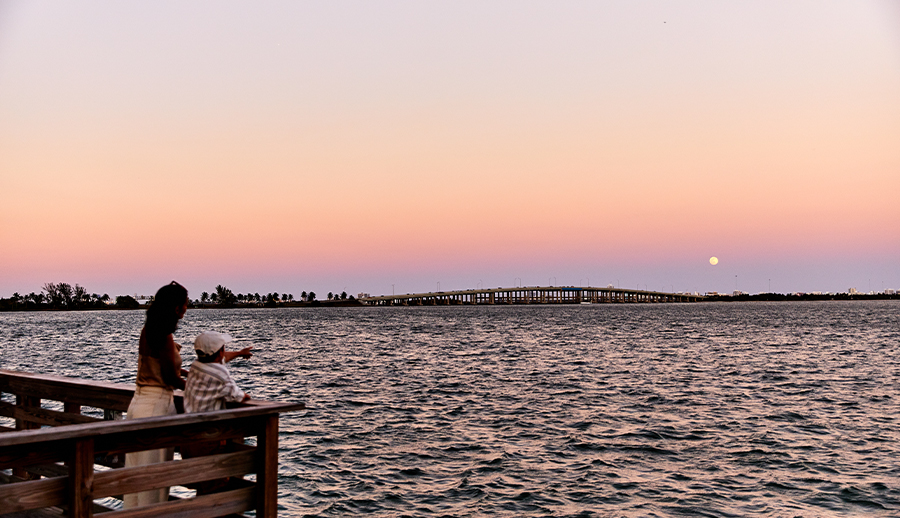 This image showcases a serene waterfront scene from a wooden deck or balcony. A woman and child are observing the water, with a bridge visible in the distance under a pastel-colored sky at sunset or sunrise. The scene evokes a sense of tranquility and connection to nature, highlighting the property's potential for relaxation and scenic views.