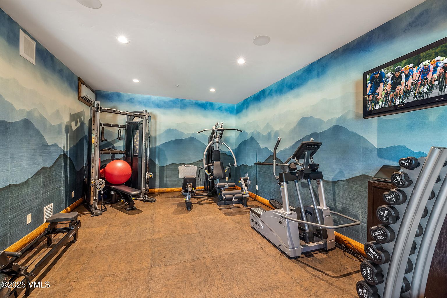 This is an interior shot of a home gym featuring various exercise machines, including a multi-station weight machine, an elliptical trainer, and a dumbbell rack. The walls are decorated with a scenic mountain mural, and a television is mounted on the wall for entertainment. The flooring appears to be a durable, rubberized material, creating a functional and motivating workout space.