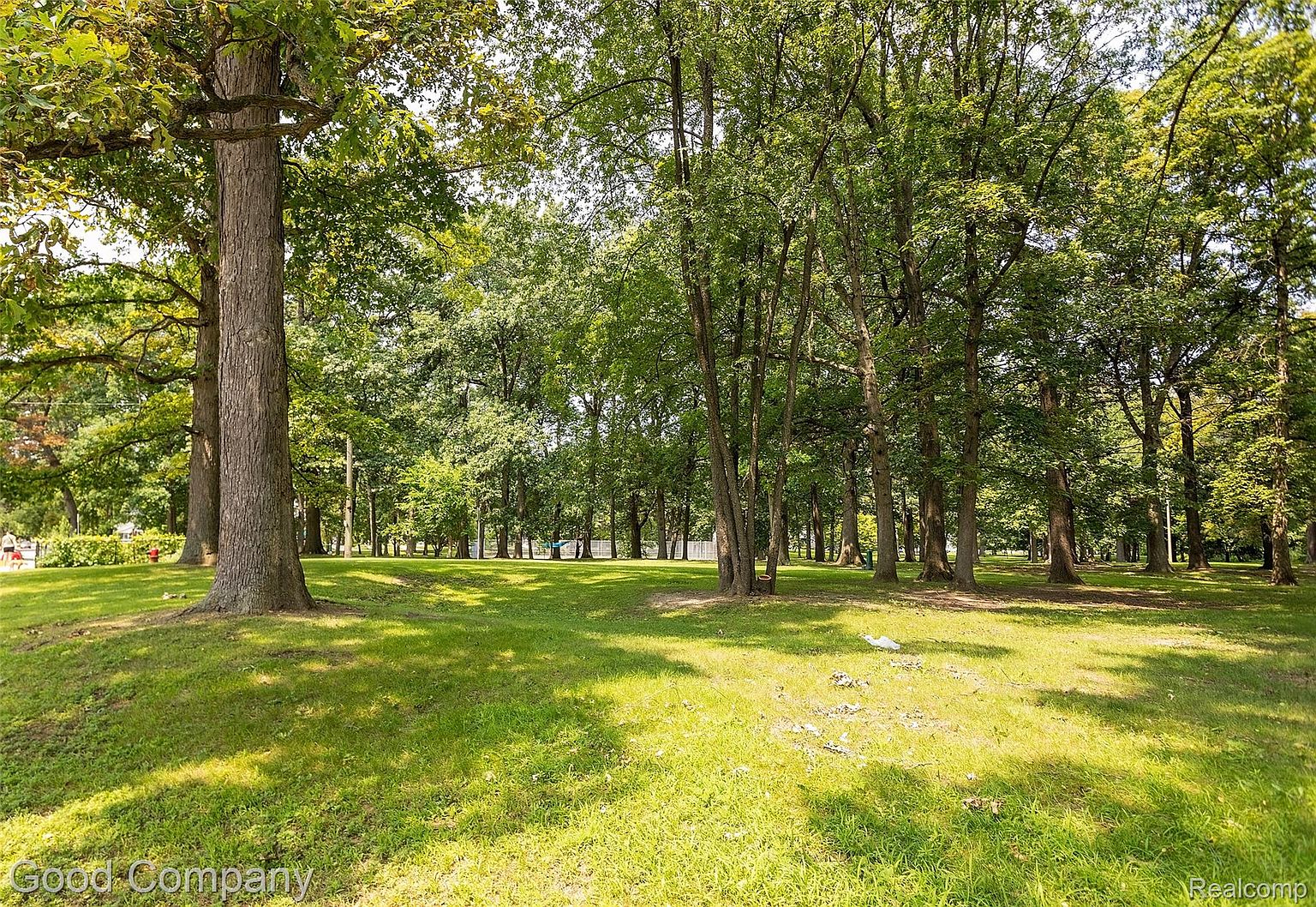 The image showcases a lush, green yard or garden area, possibly part of a larger property. Mature trees provide ample shade, creating a serene and inviting atmosphere. The well-maintained lawn and natural landscaping suggest a peaceful outdoor space, ideal for relaxation or recreation.