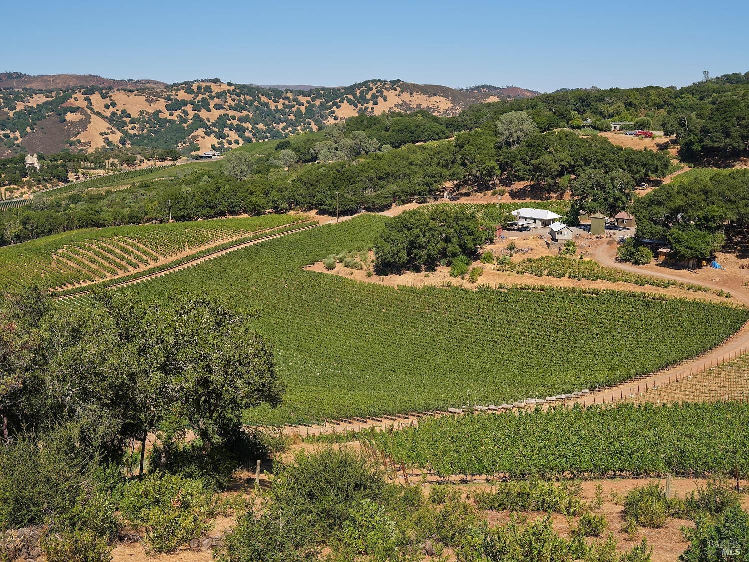 This high-angle aerial view captures a sprawling vineyard estate nestled within rolling, sun-drenched hills. The property features extensive rows of grapevines, a cluster of rustic outbuildings, and mature oak trees scattered across the landscape. The scene conveys a sense of expansive rural tranquility and agricultural beauty, characteristic of a premium wine country property.