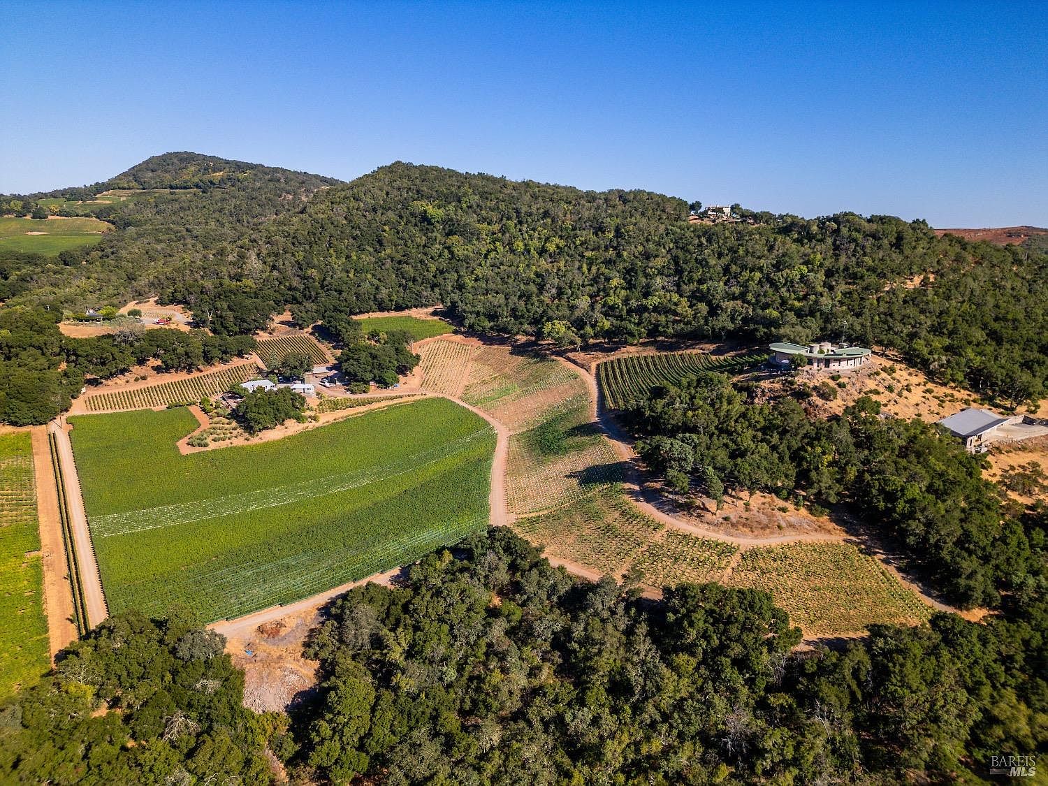 This expansive aerial view captures a sprawling rural estate nestled within a hilly, forested landscape. The property features multiple structures, including a distinctive circular residence perched on a hillside, surrounded by well-maintained vineyards and open fields. The perspective highlights the vastness of the grounds and the integration of the buildings into the natural topography.