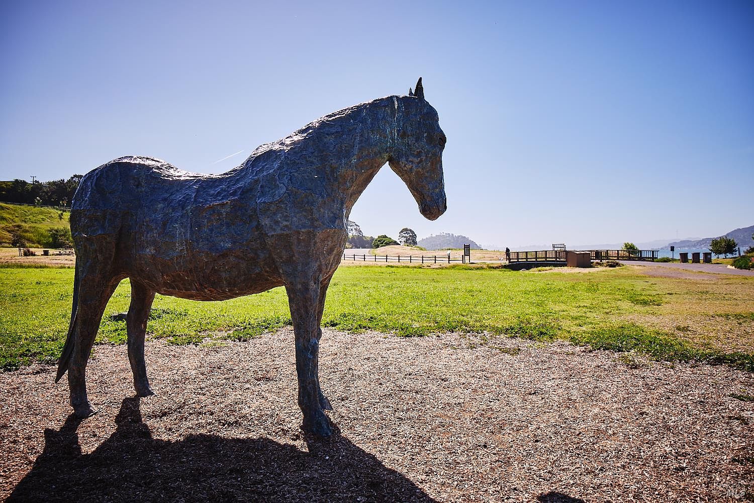 This image features a large, textured bronze-toned horse sculpture standing prominently in a public park setting. The foreground consists of wood-chip ground cover, while the background reveals a grassy field, a wooden footbridge, and distant hills under a clear blue sky. The perspective is a low-angle side view, emphasizing the scale of the sculpture against the expansive outdoor landscape.