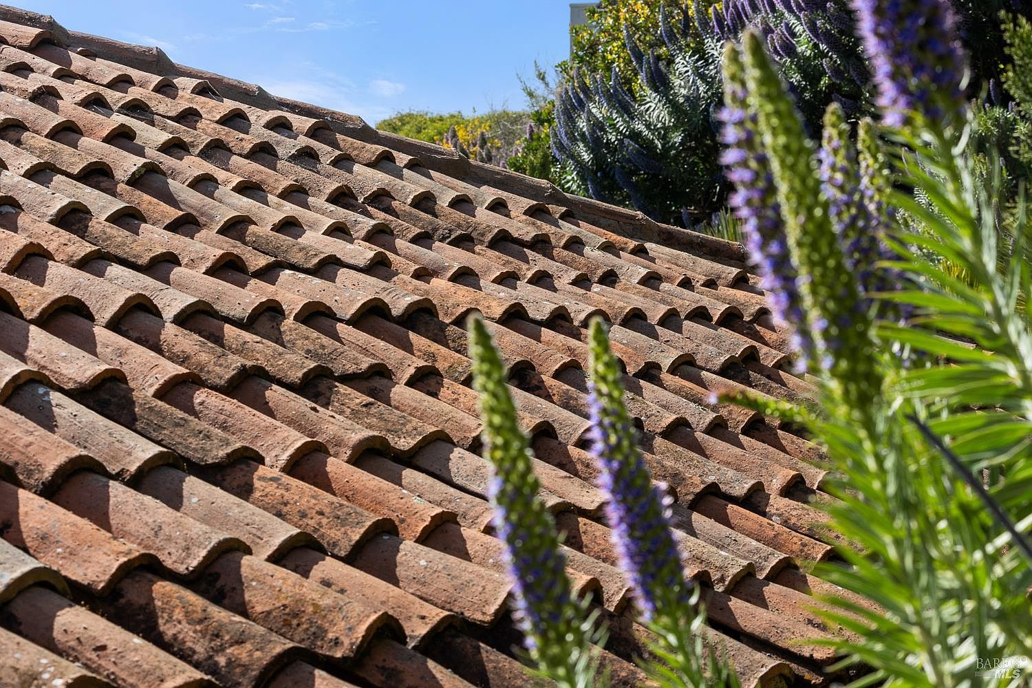 This close-up perspective captures the textured, weathered surface of traditional terracotta barrel roof tiles, showcasing their classic Mediterranean aesthetic. In the foreground, vibrant purple flower spikes add a soft, organic contrast to the rigid, geometric pattern of the roofing material. The composition highlights the architectural character and material quality of the home's exterior.