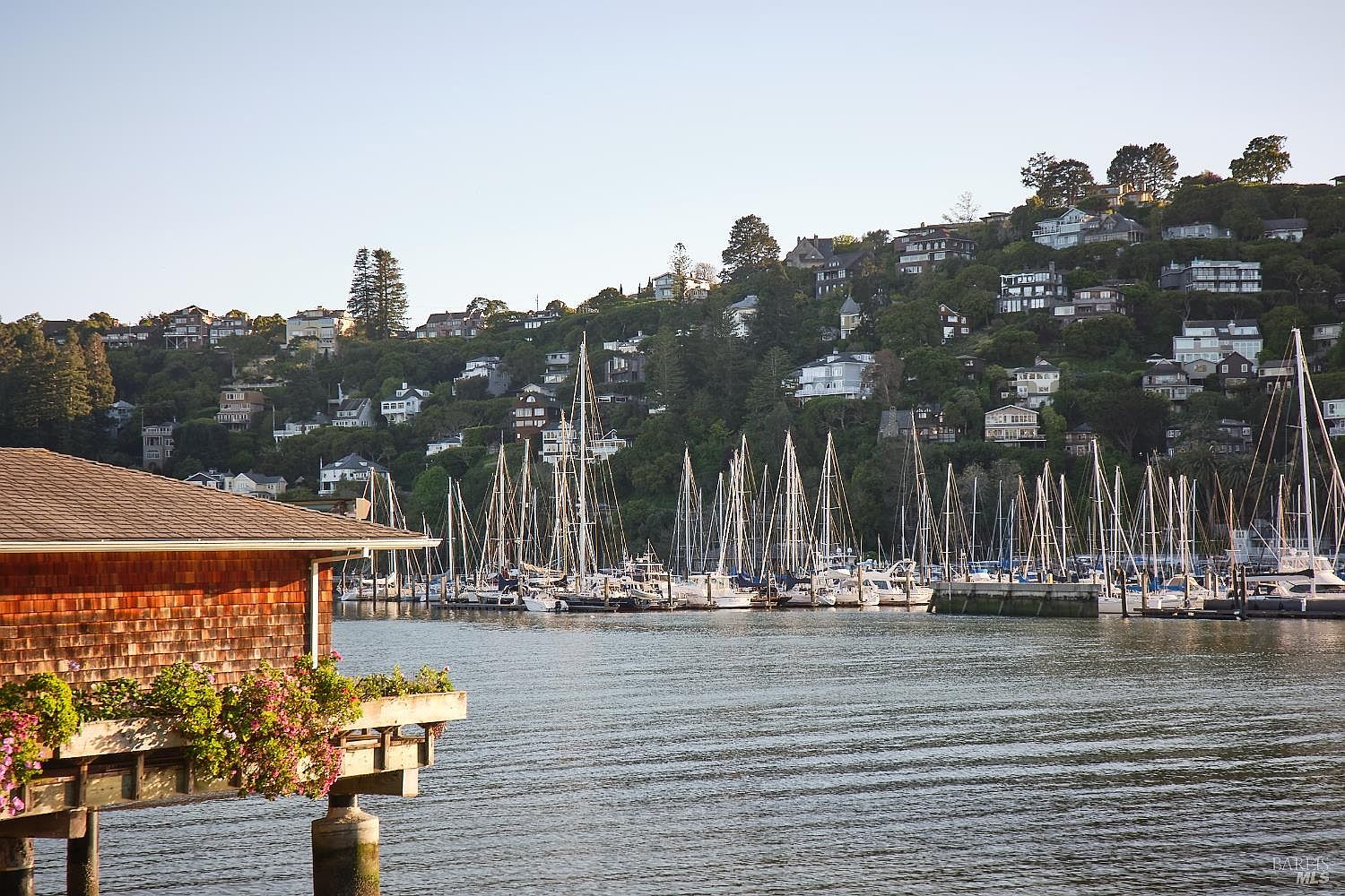 This scenic view captures a waterfront perspective featuring a rustic, shingled structure with a deck adorned with vibrant flowers in the foreground. Beyond the structure, a calm harbor is filled with numerous sailboats moored at their slips, set against a lush, hilly landscape dotted with residential homes. The warm, golden light suggests a peaceful late afternoon or early morning setting, emphasizing the tranquil coastal lifestyle.