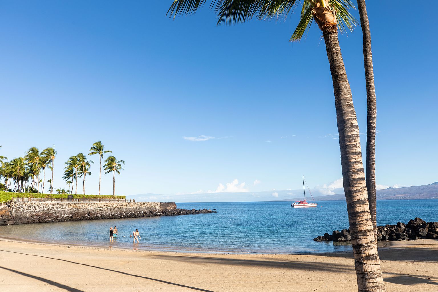 This image showcases a serene beach scene with clear blue skies and calm turquoise water. Palm trees line the shore, adding a tropical touch, while a sailboat is visible in the distance. The sandy beach and gentle waves create an inviting and relaxing atmosphere, perfect for a waterfront property.