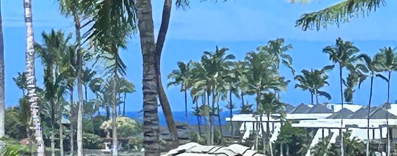 The image showcases a tropical beachfront property with numerous palm trees swaying gently in the breeze. A white building with dark roofs is partially visible behind the trees, suggesting a resort or residential complex. The clear blue sky and ocean create a serene and inviting atmosphere, highlighting the property's desirable location.