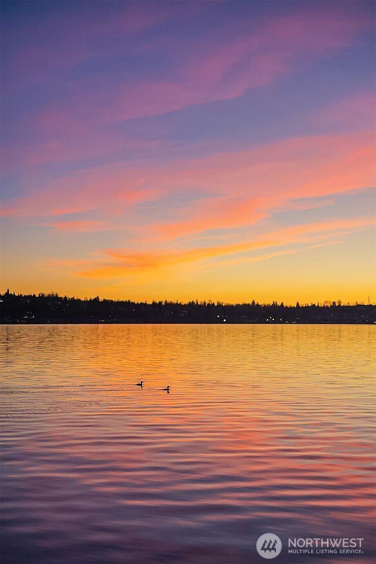 This scenic image captures a tranquil sunset over a calm body of water, likely a lake or bay, with a distant shoreline silhouette visible in the background. Two small birds are seen swimming in the center of the frame, adding a sense of peaceful life to the expansive, colorful sky reflecting on the water's surface. The composition emphasizes the serene natural beauty of the location, suggesting a desirable waterfront lifestyle.