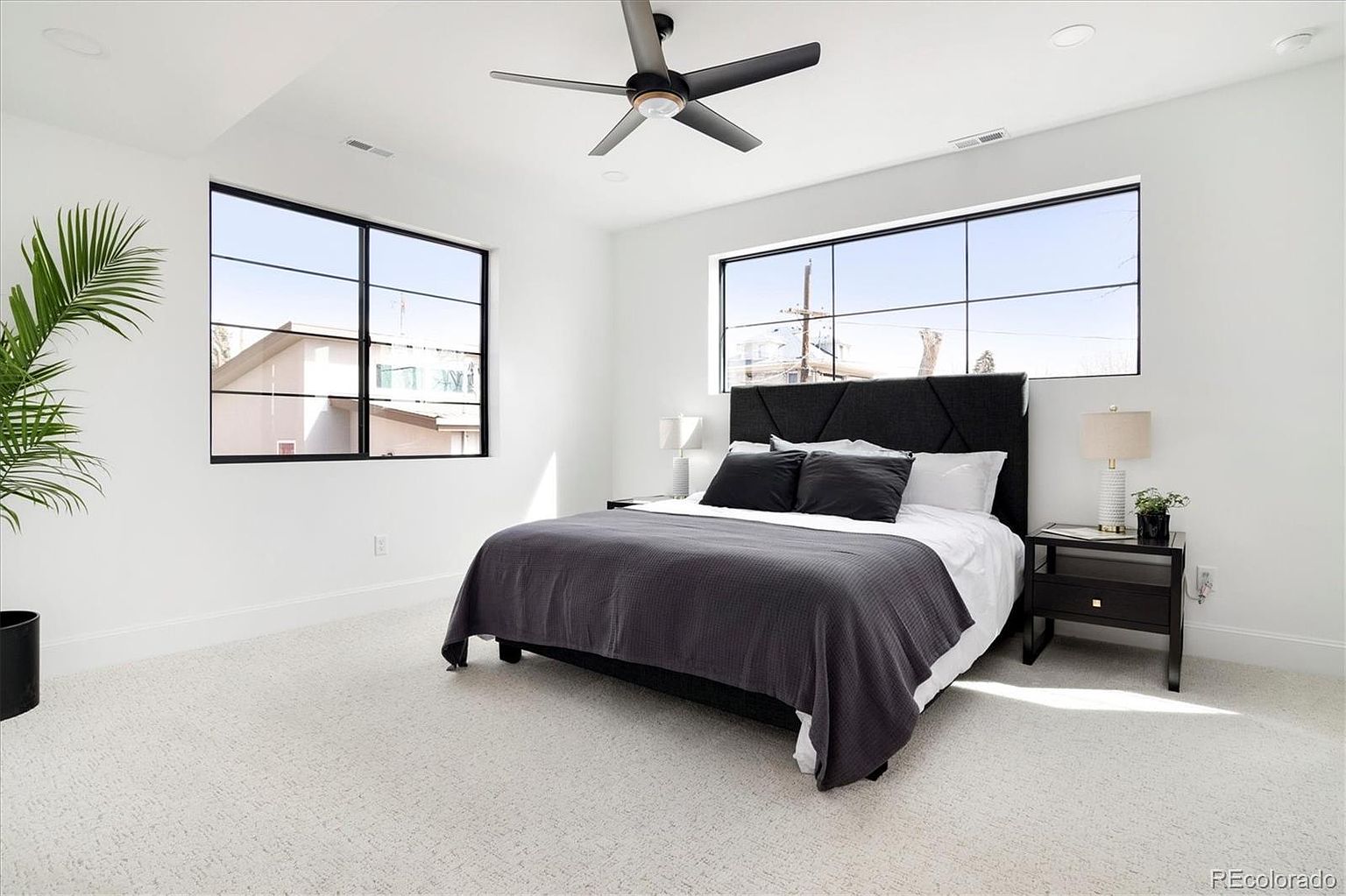 This is a bright and airy primary bedroom featuring a modern aesthetic with clean white walls and light carpet. The room is well-lit by two large windows with black frames, offering exterior views. A dark upholstered bed with matching pillows and a gray throw blanket serves as the focal point, complemented by a black nightstand and a sleek ceiling fan.